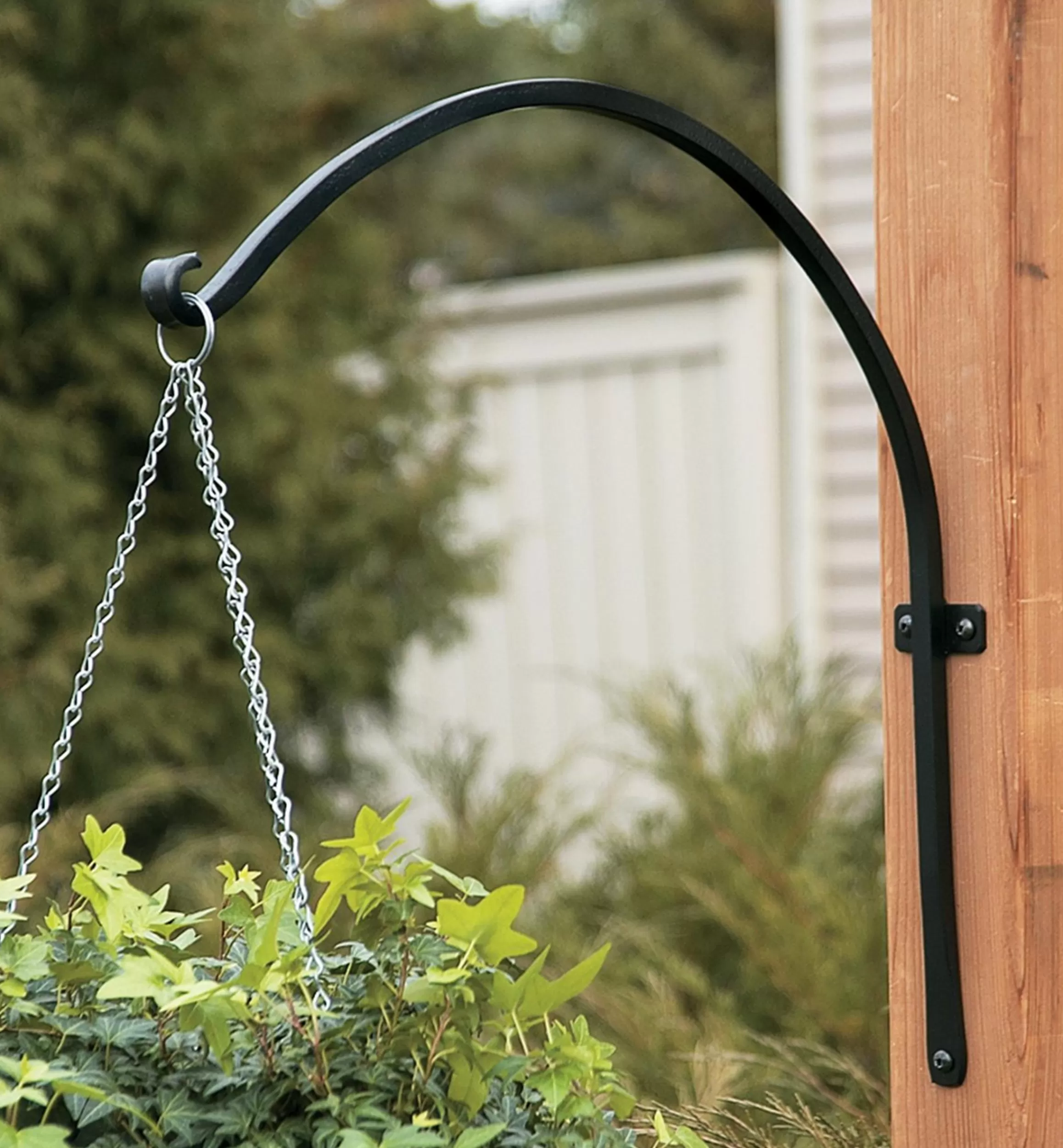 Lee Valley Arched Plant Hanger