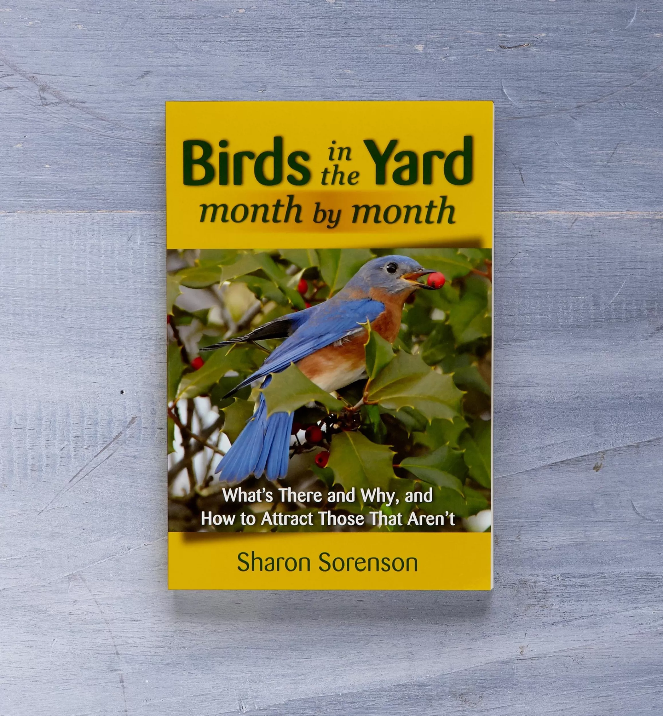 Lee Valley Birds In The Yard Month By Month