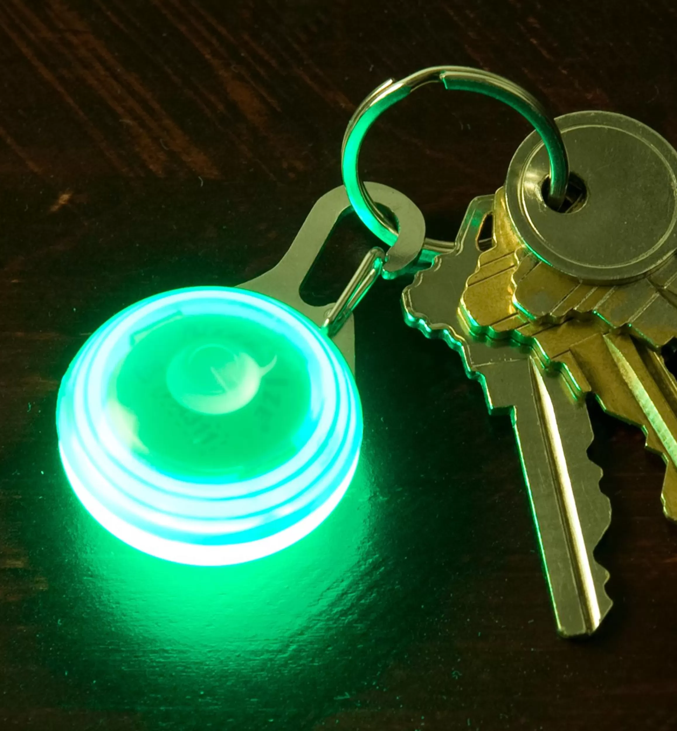 Lee Valley Carabiner LED Light