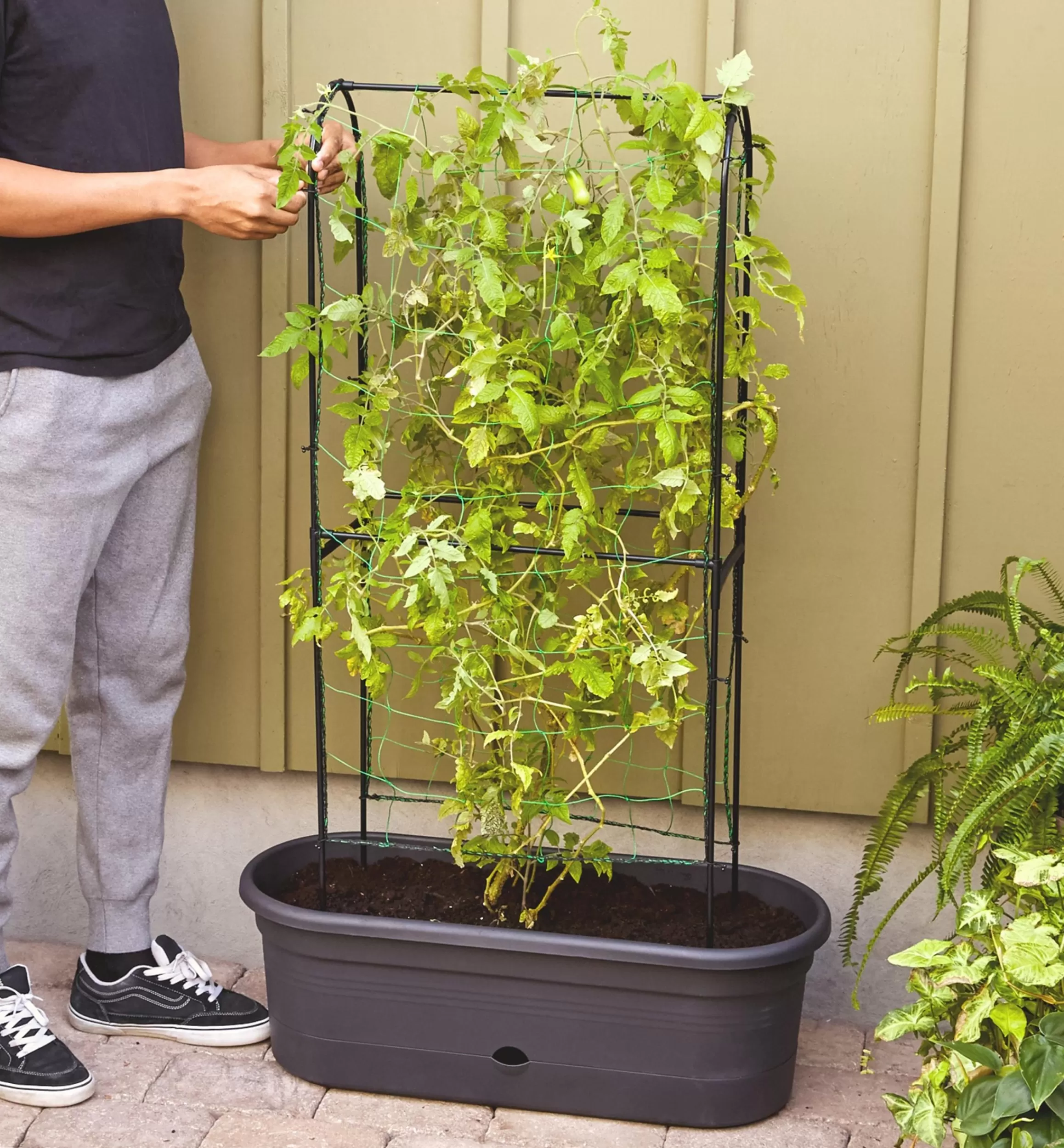 Lee Valley Elho Self-Watering Planter With Trellis