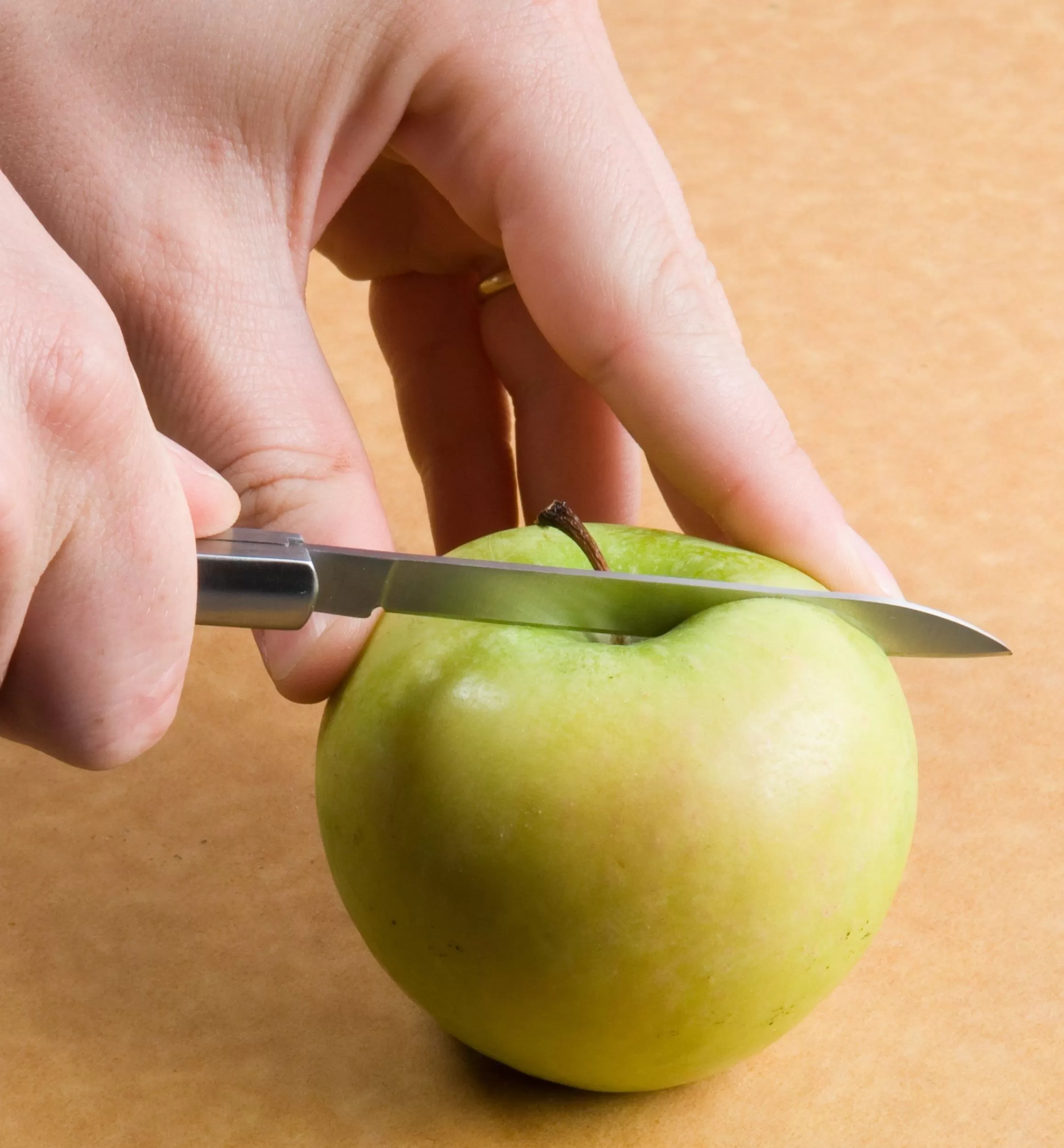 Lee Valley Folding Fruit Knife
