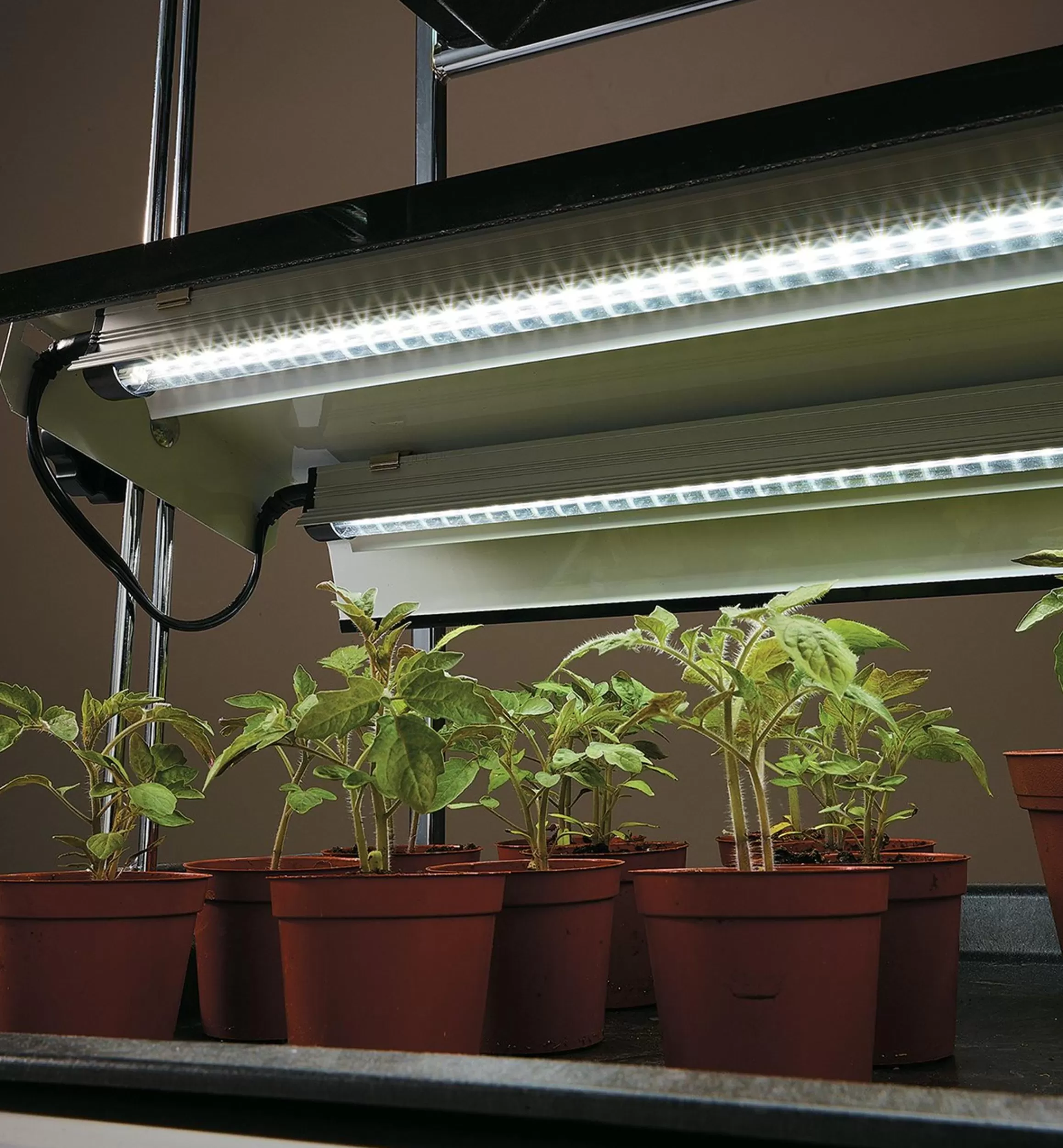 Lee Valley Full-Spectrum LED Grow Lights