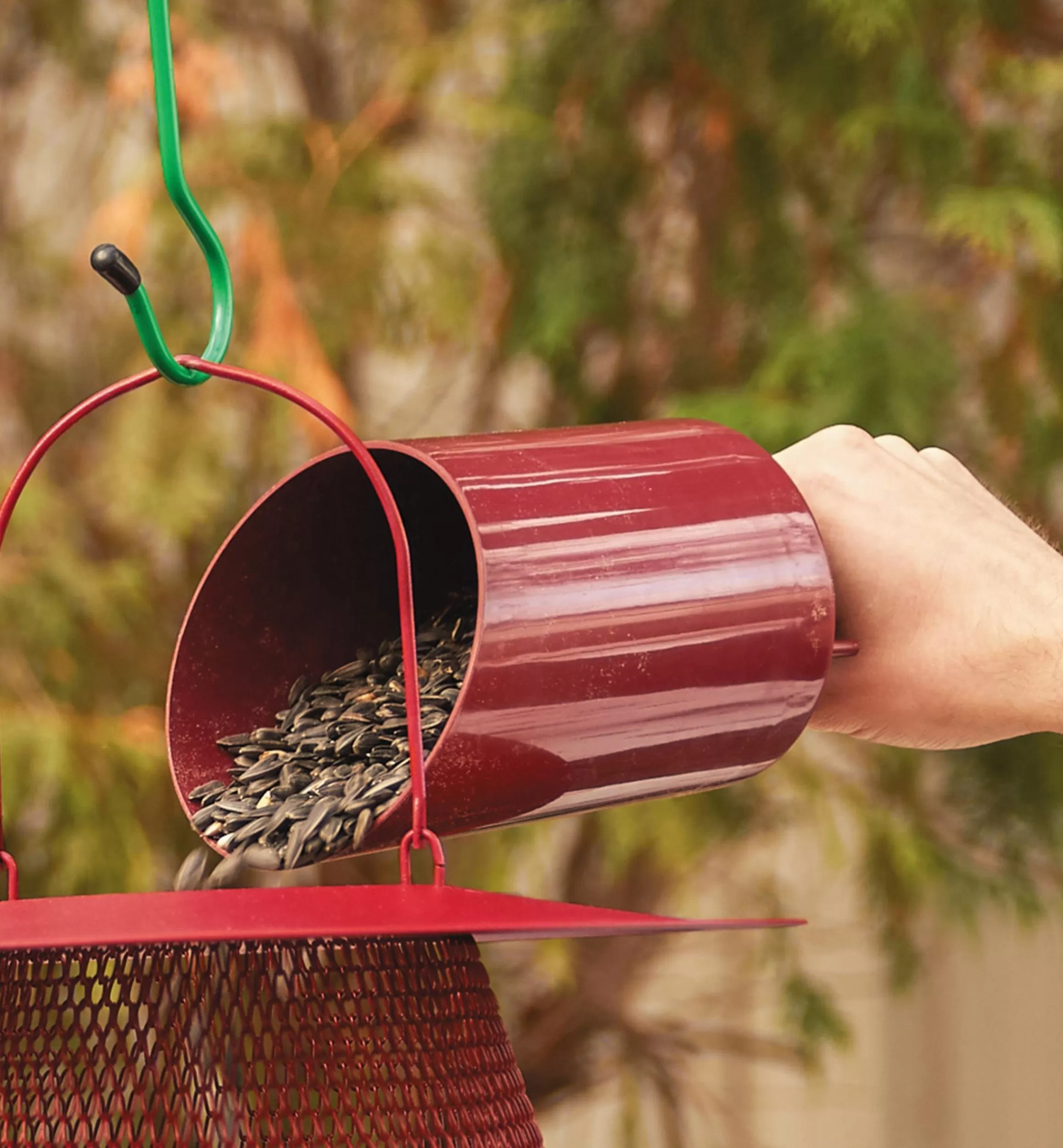 Lee Valley Funneling Bird Seed Scoop