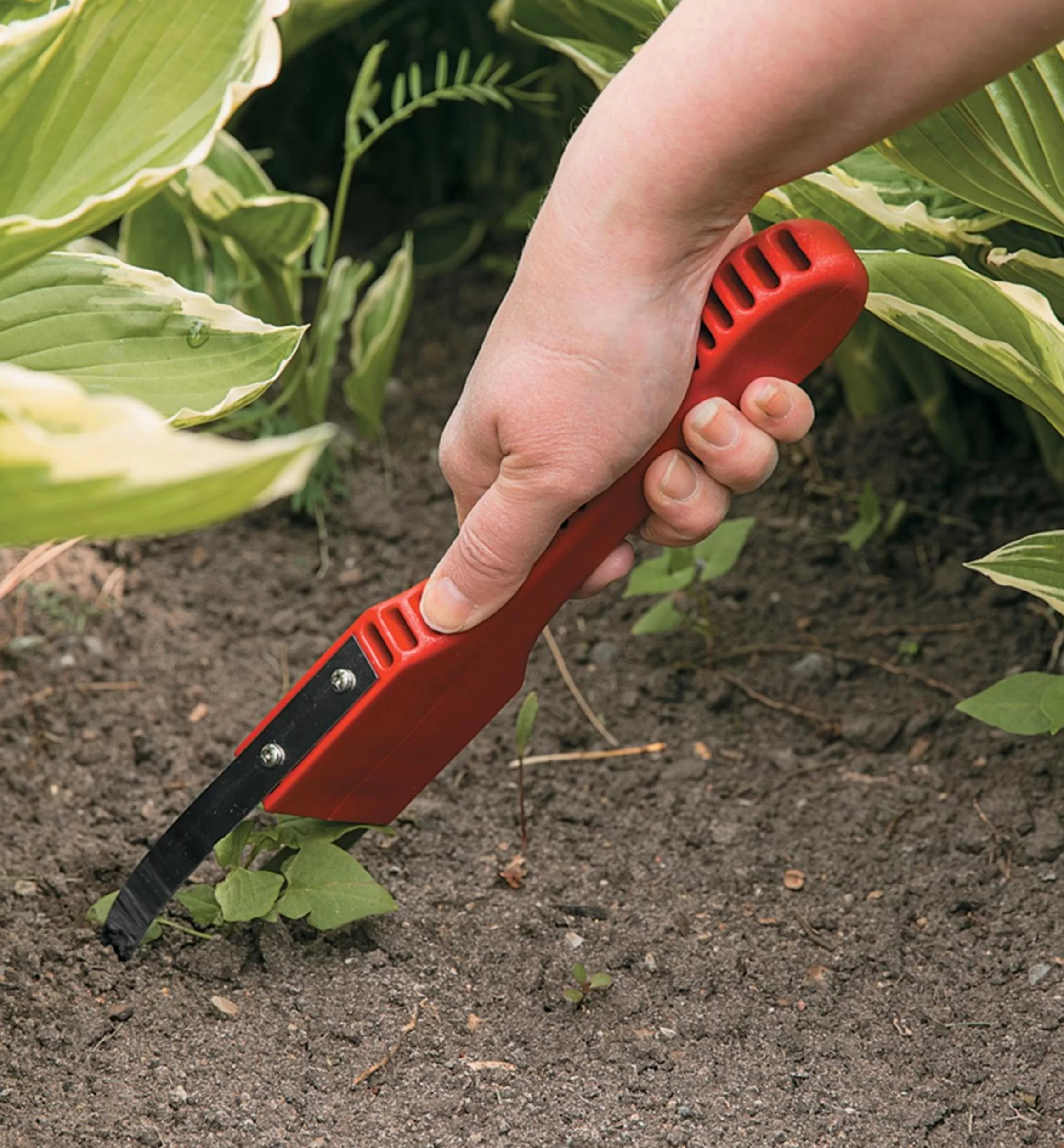Lee Valley Garden Bandit Hand Loop Weeder