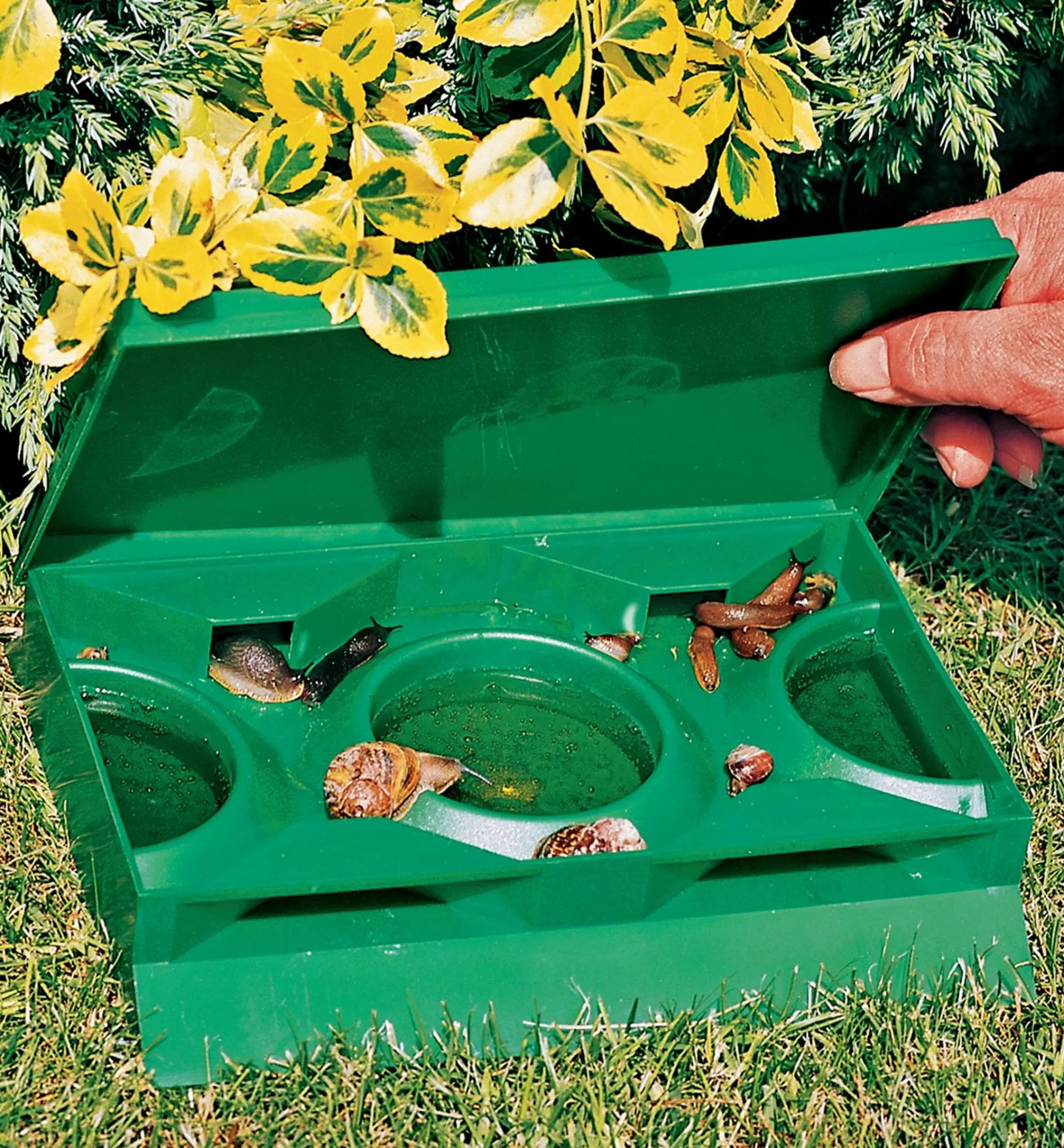 Lee Valley Giant Slug & Snail Trap