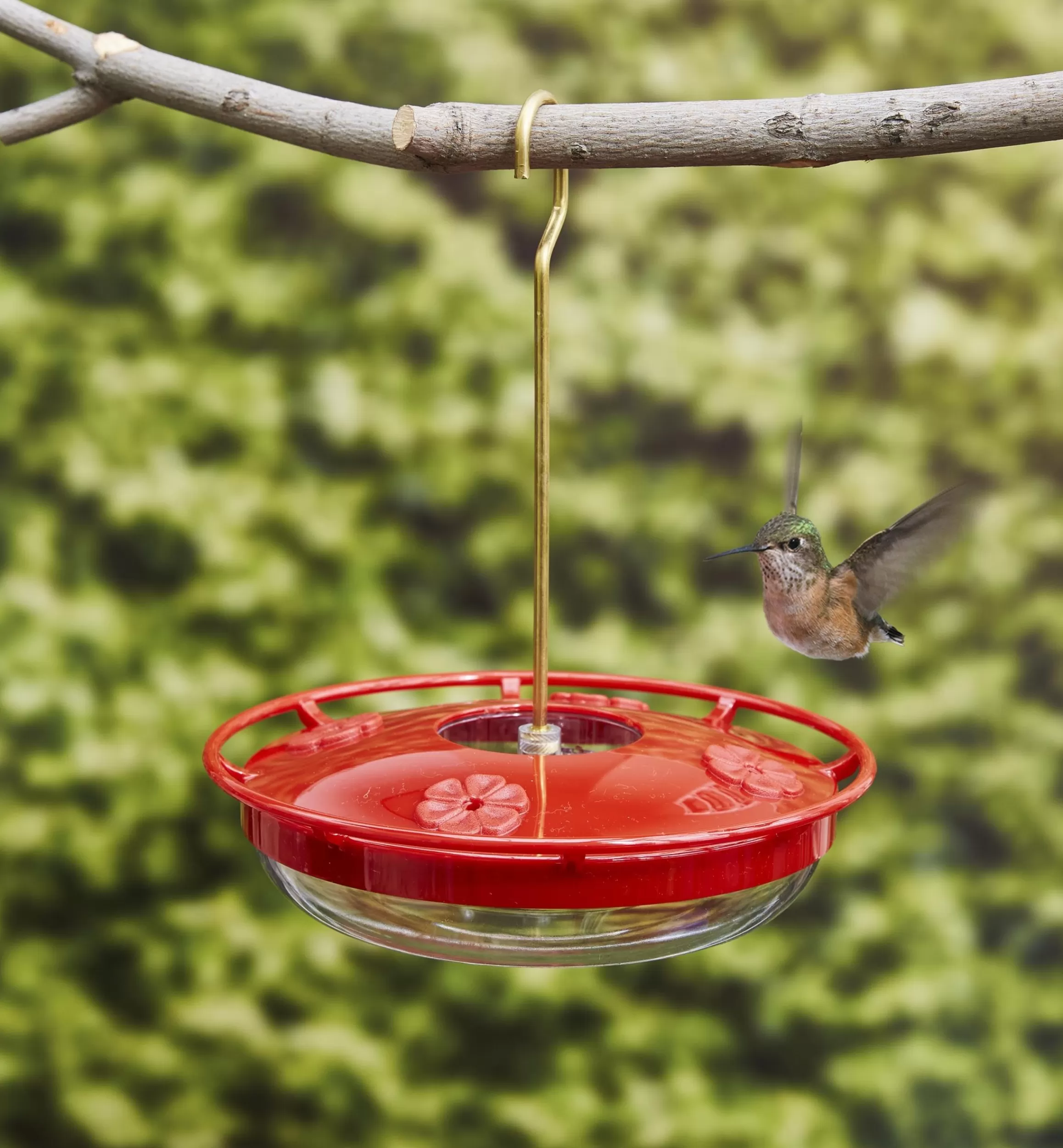 Lee Valley Hanging Hummingbird Feeder