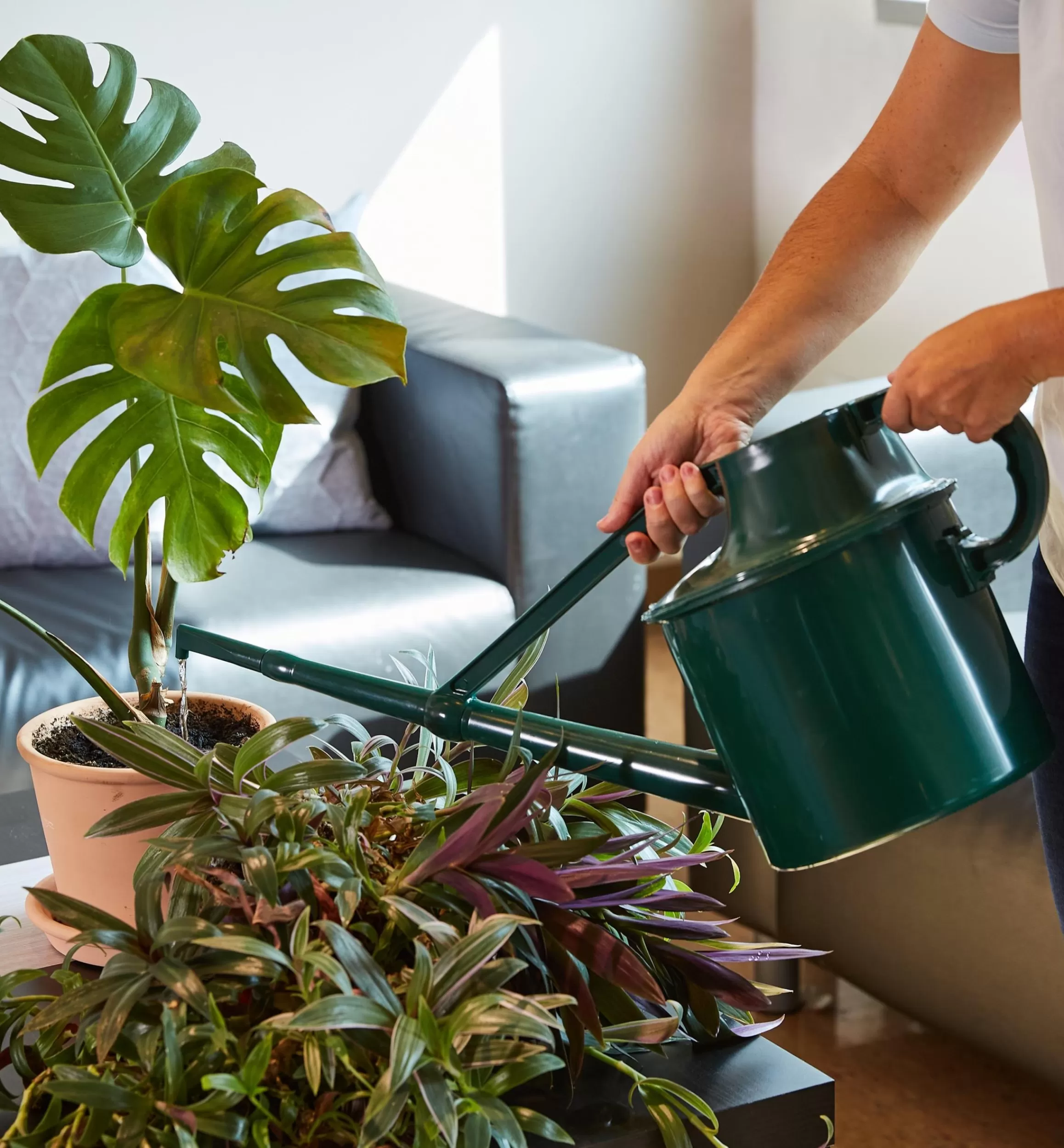 Lee Valley Haws Plastic Watering Can