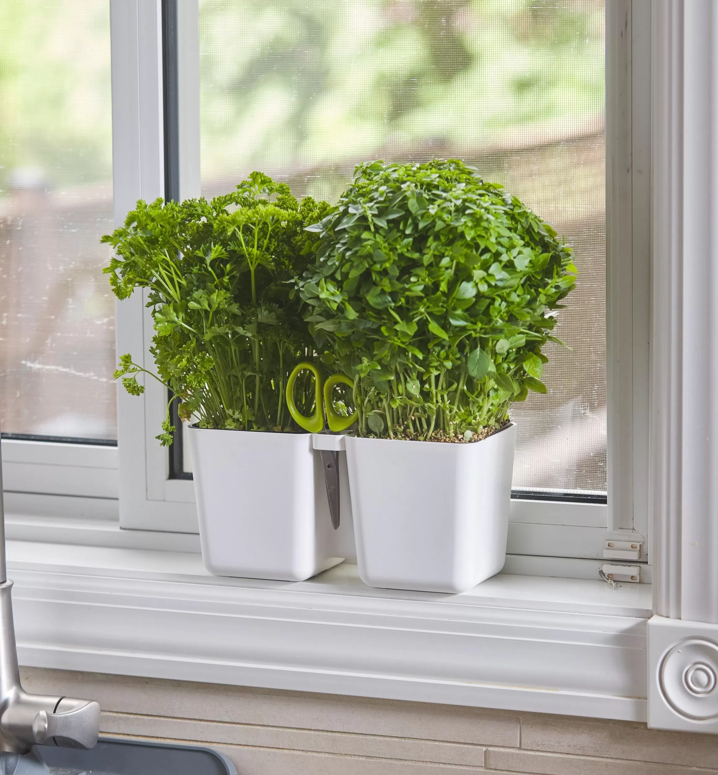 Lee Valley Herb Planter With Shears