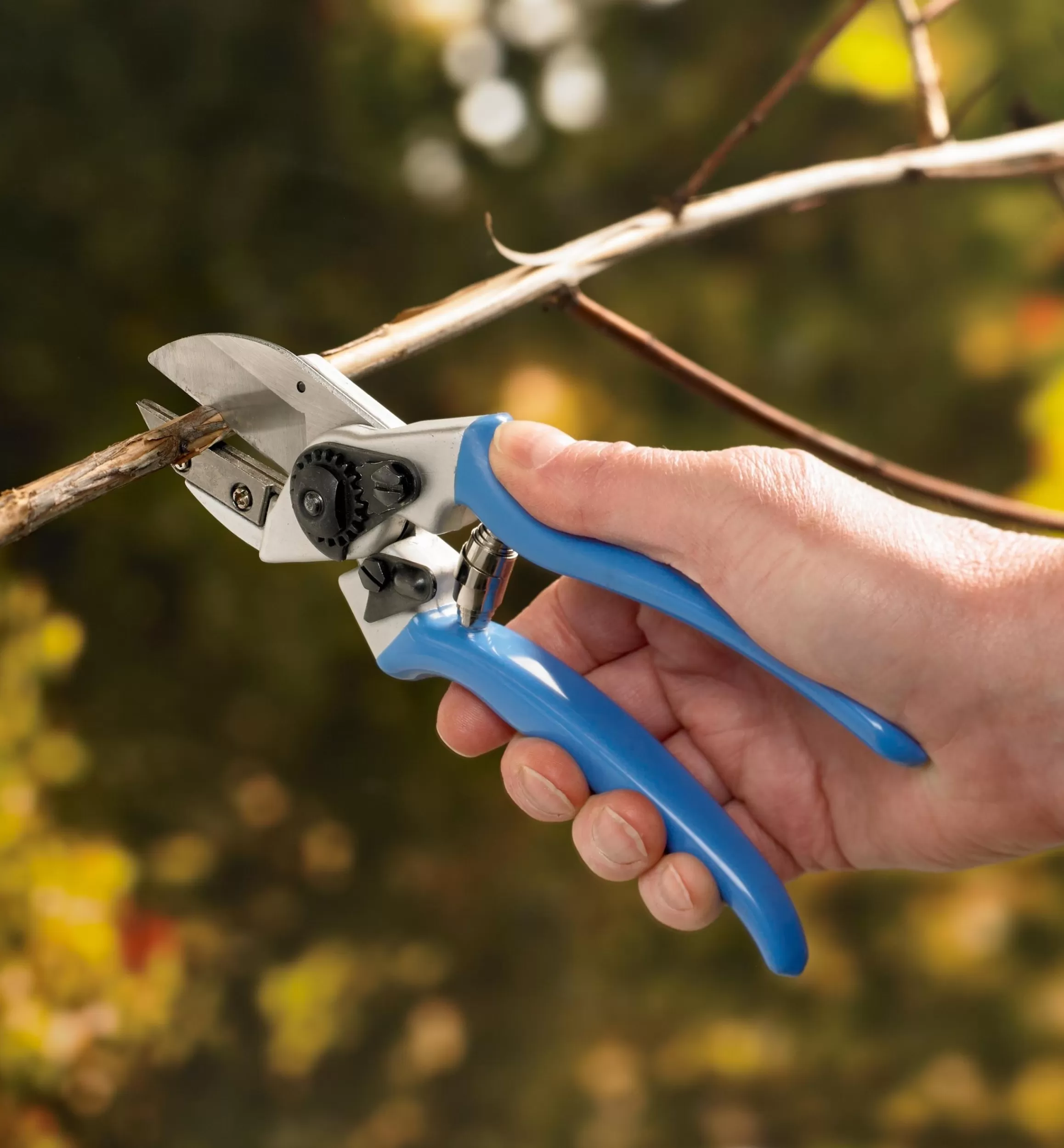 Lee Valley High-Quality Anvil Pruner