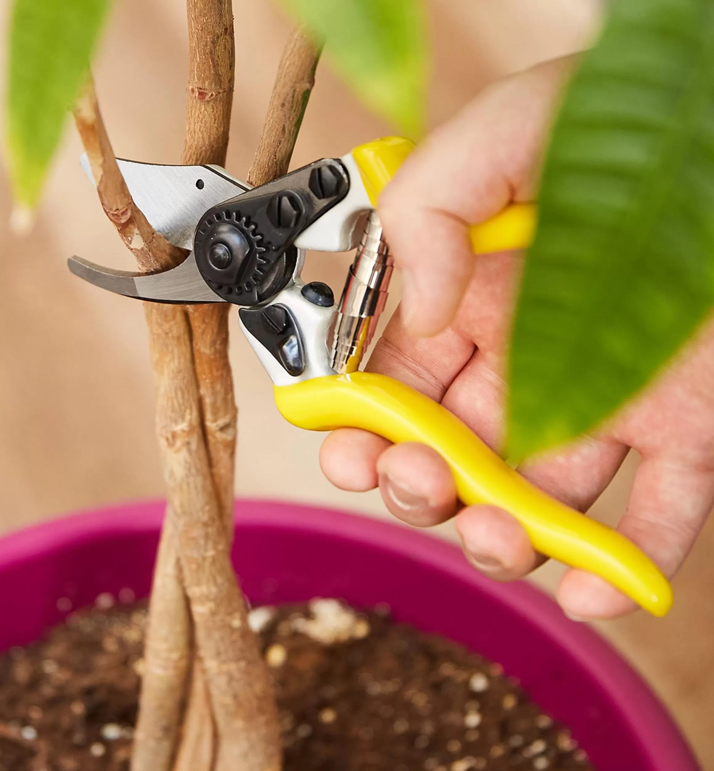 Lee Valley High-Quality Bypass Pruner