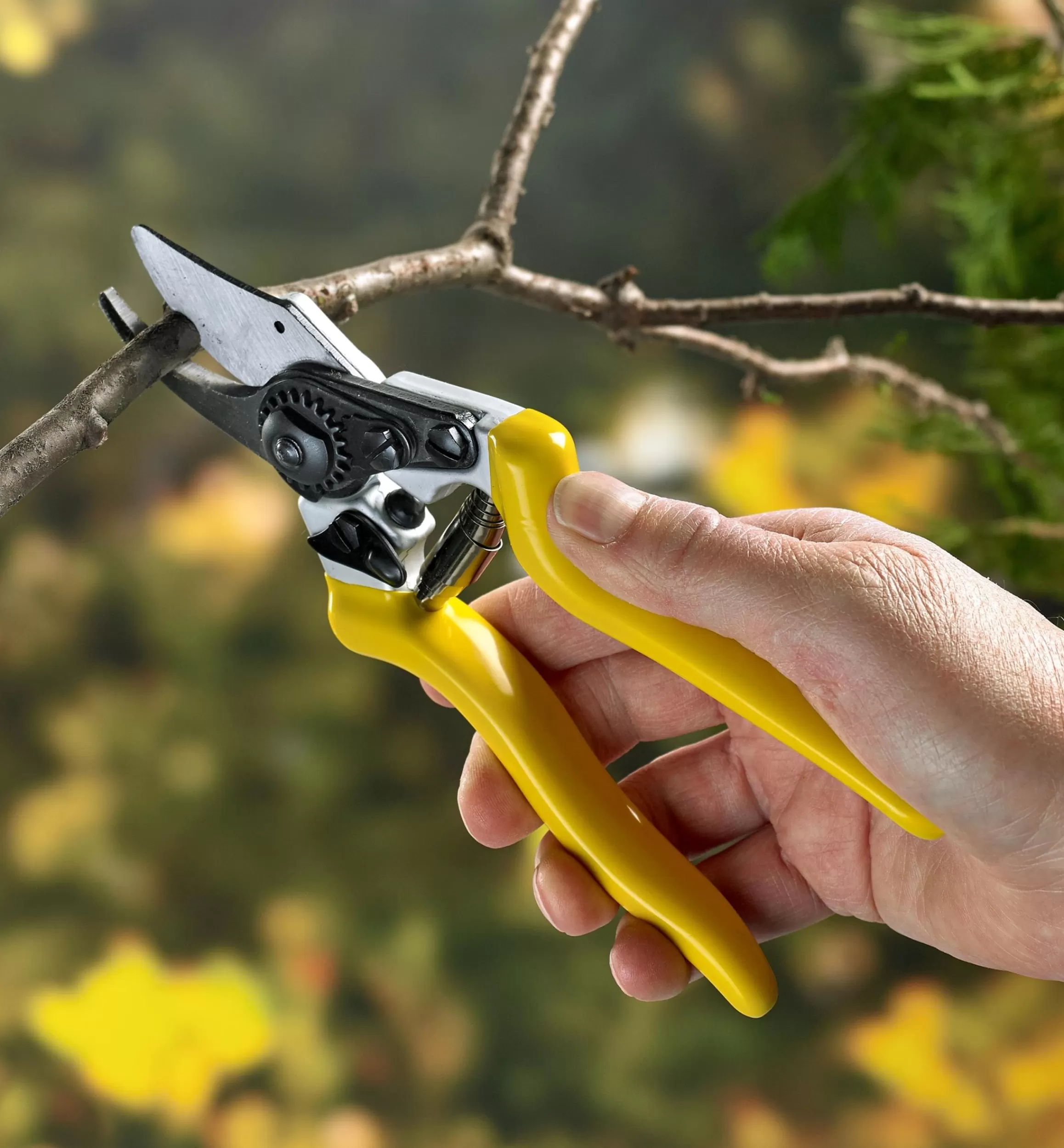 Lee Valley High-Quality Bypass Pruner