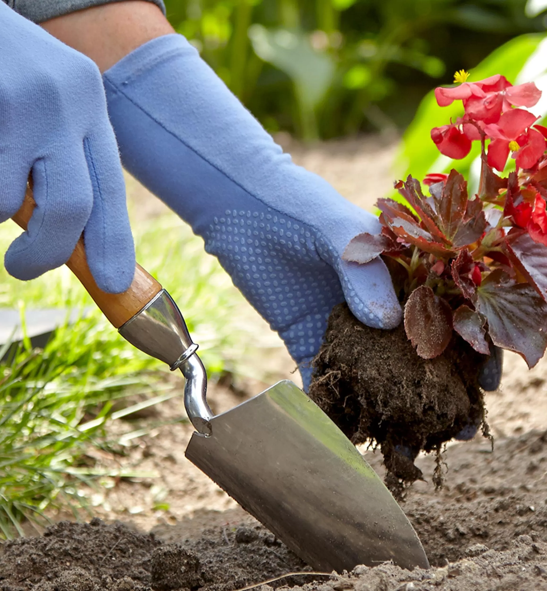 Lee Valley Trowel