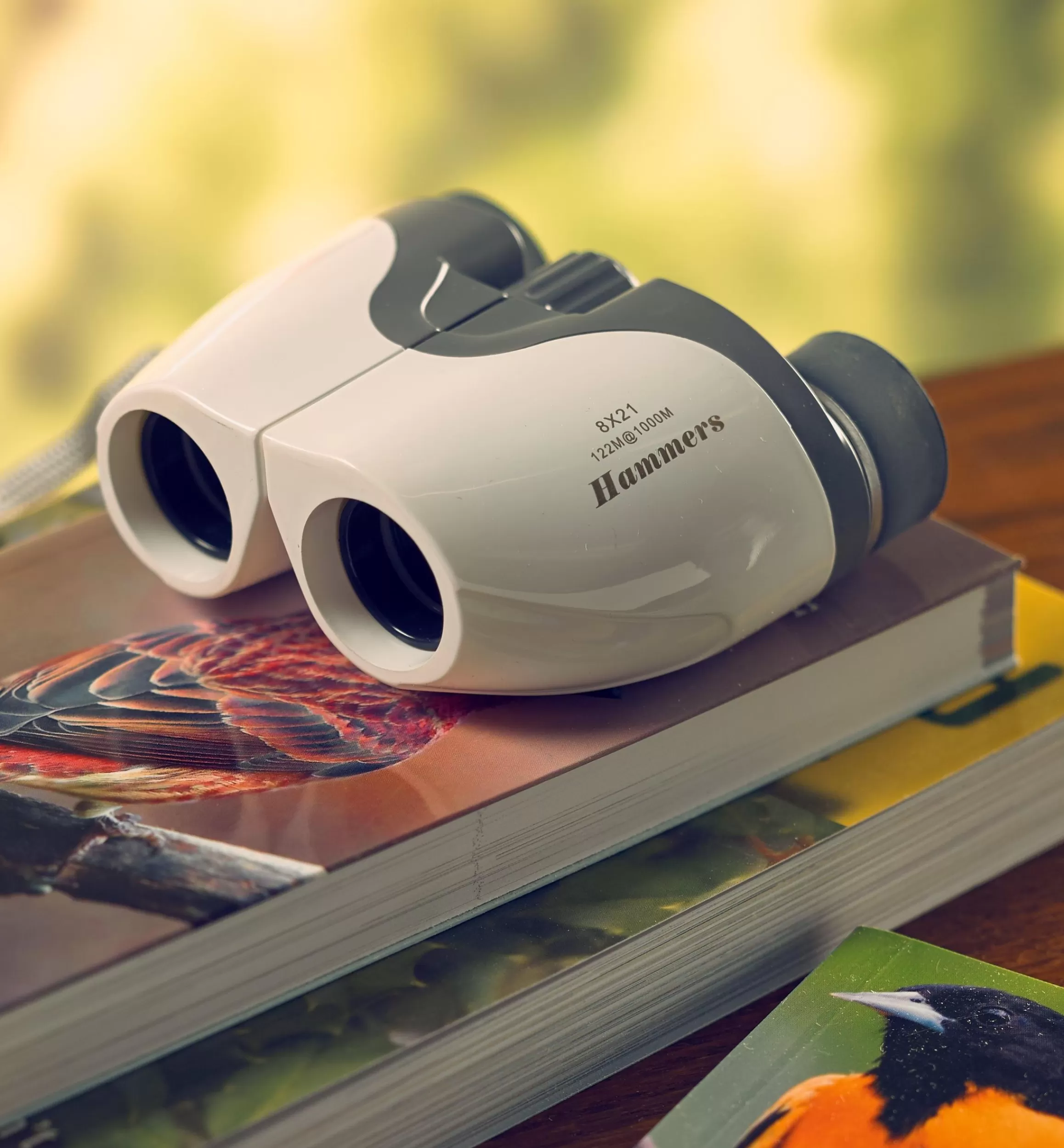 Lee Valley Lightweight Compact Binoculars