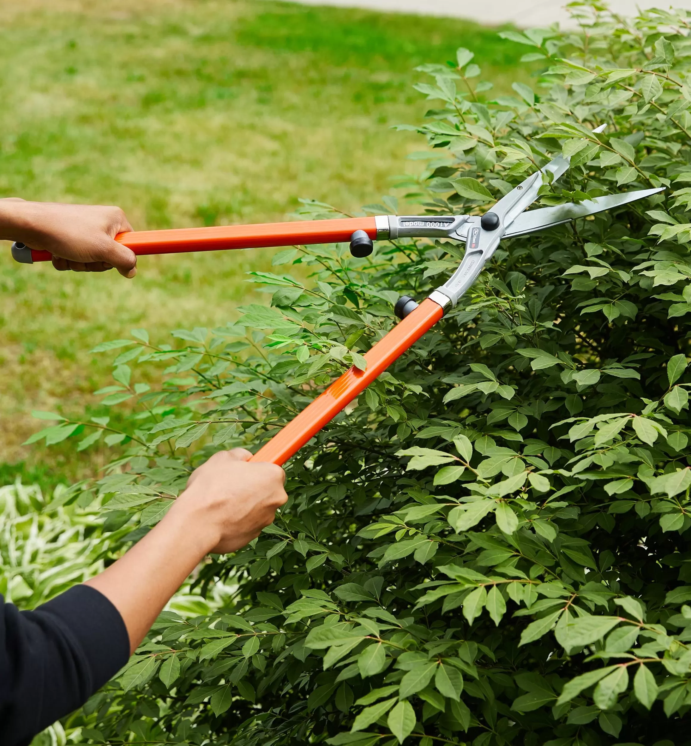 Lee Valley Long-Handled Shears