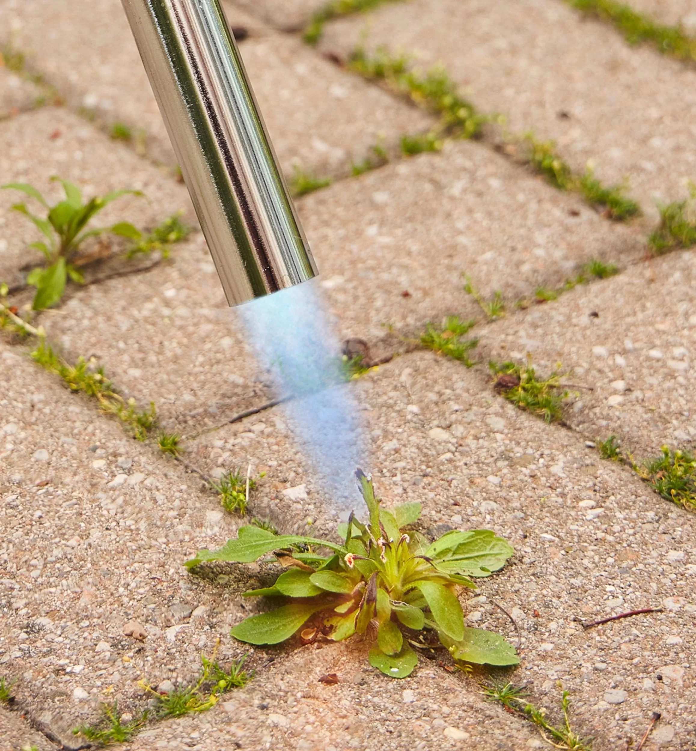 Lee Valley Mini Weed Torch