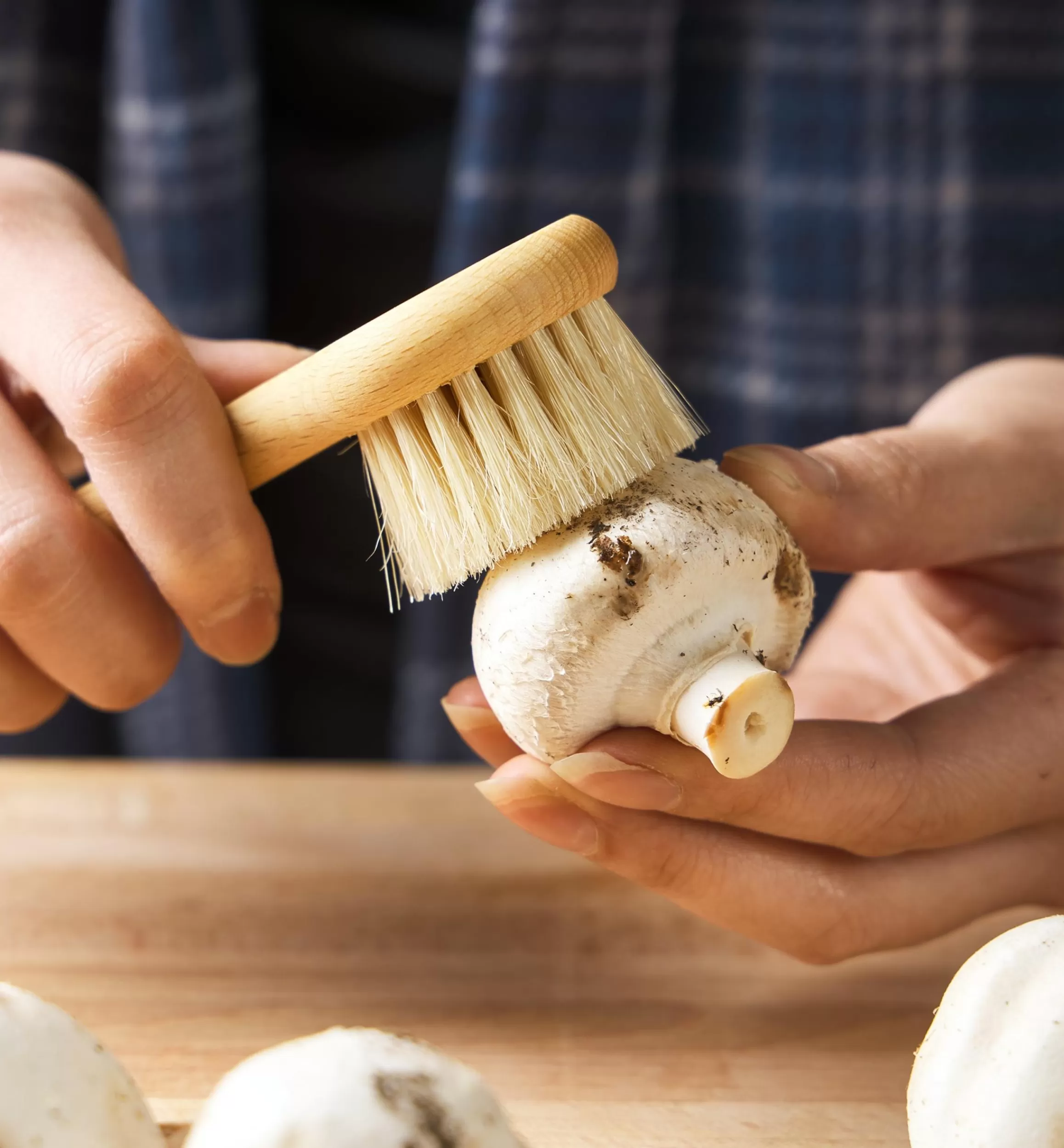 Lee Valley Mushroom Brush