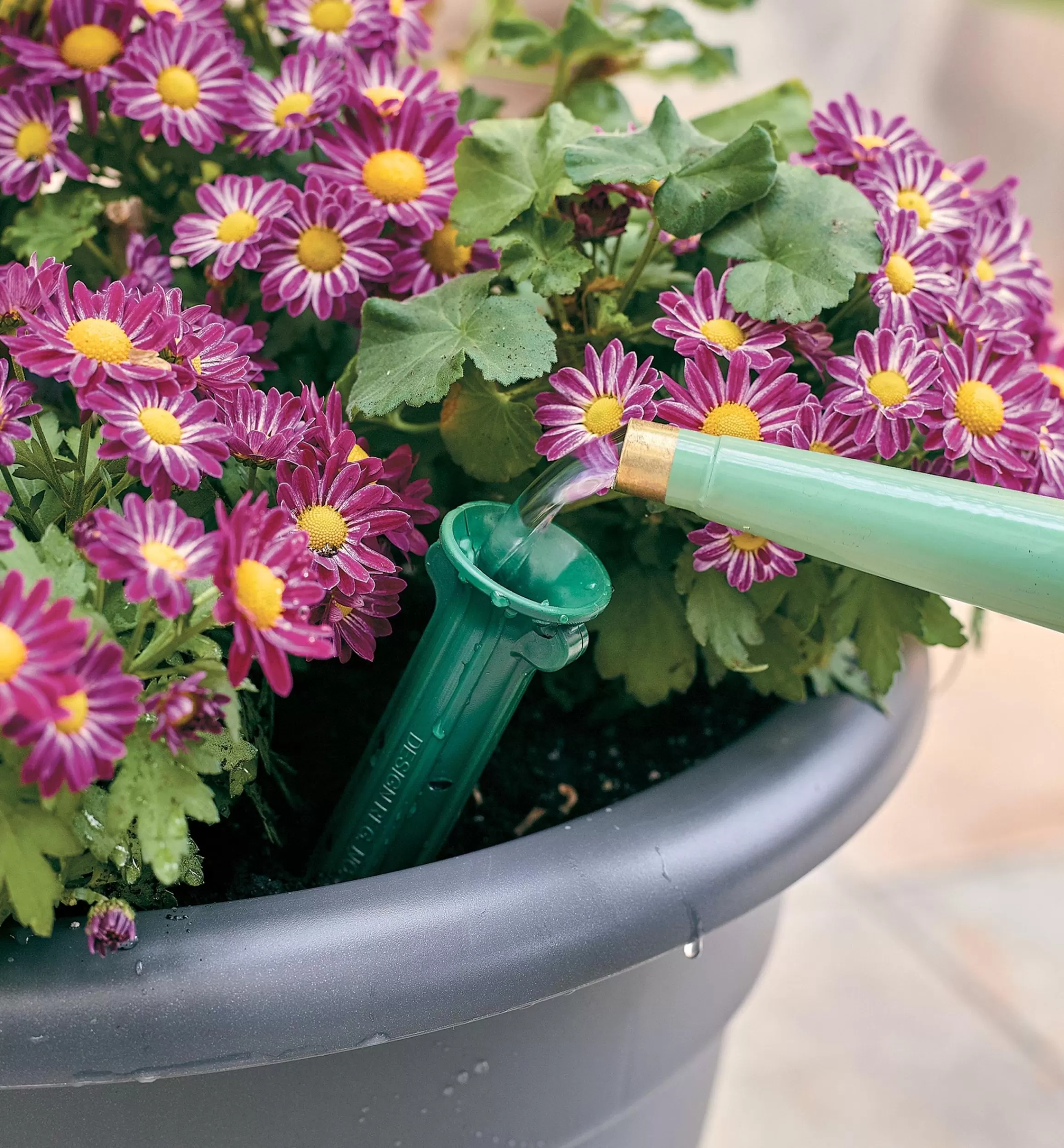 Lee Valley PlantWell Watering Bulb
