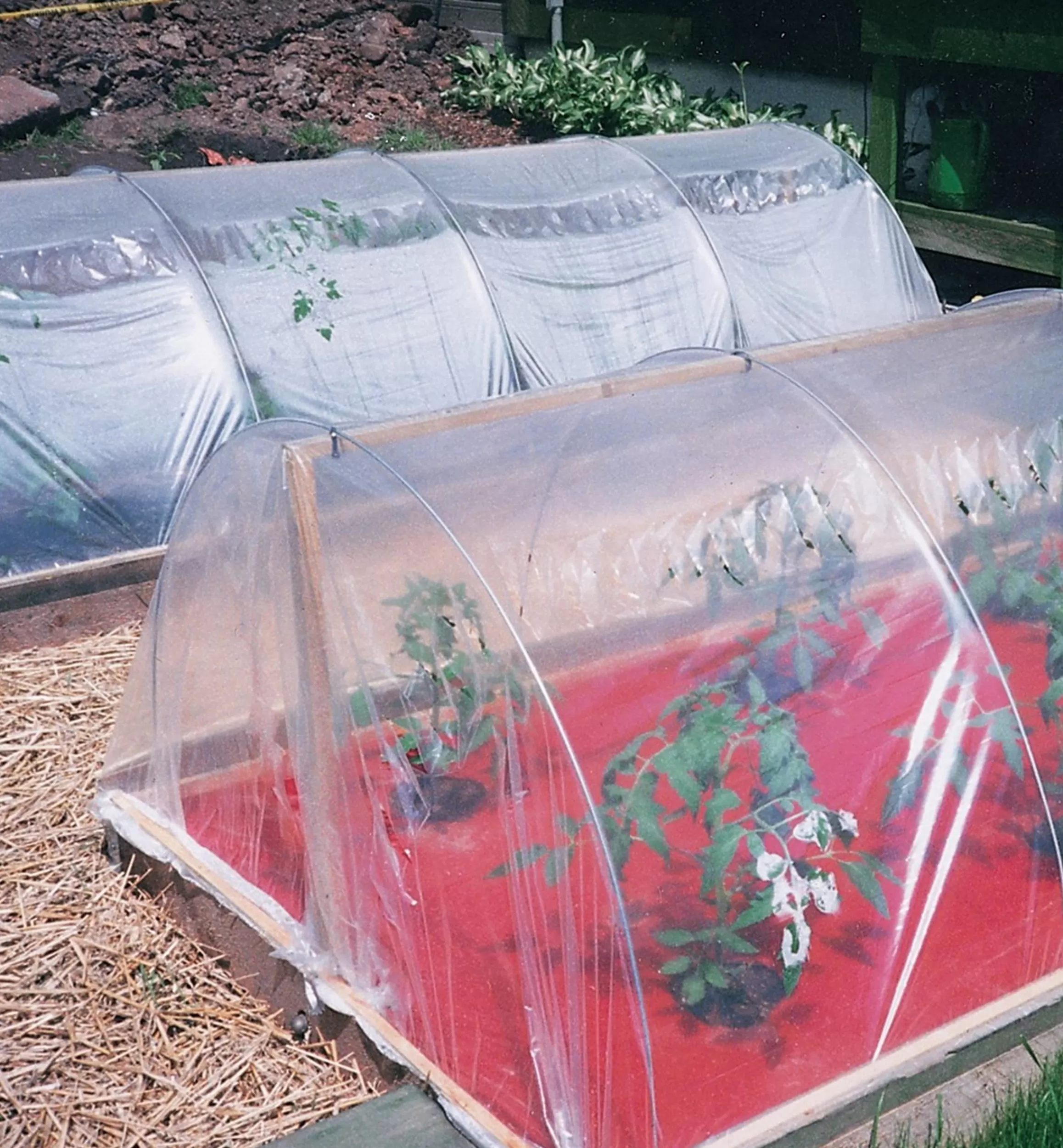 Lee Valley Plastic Row Cover Kit