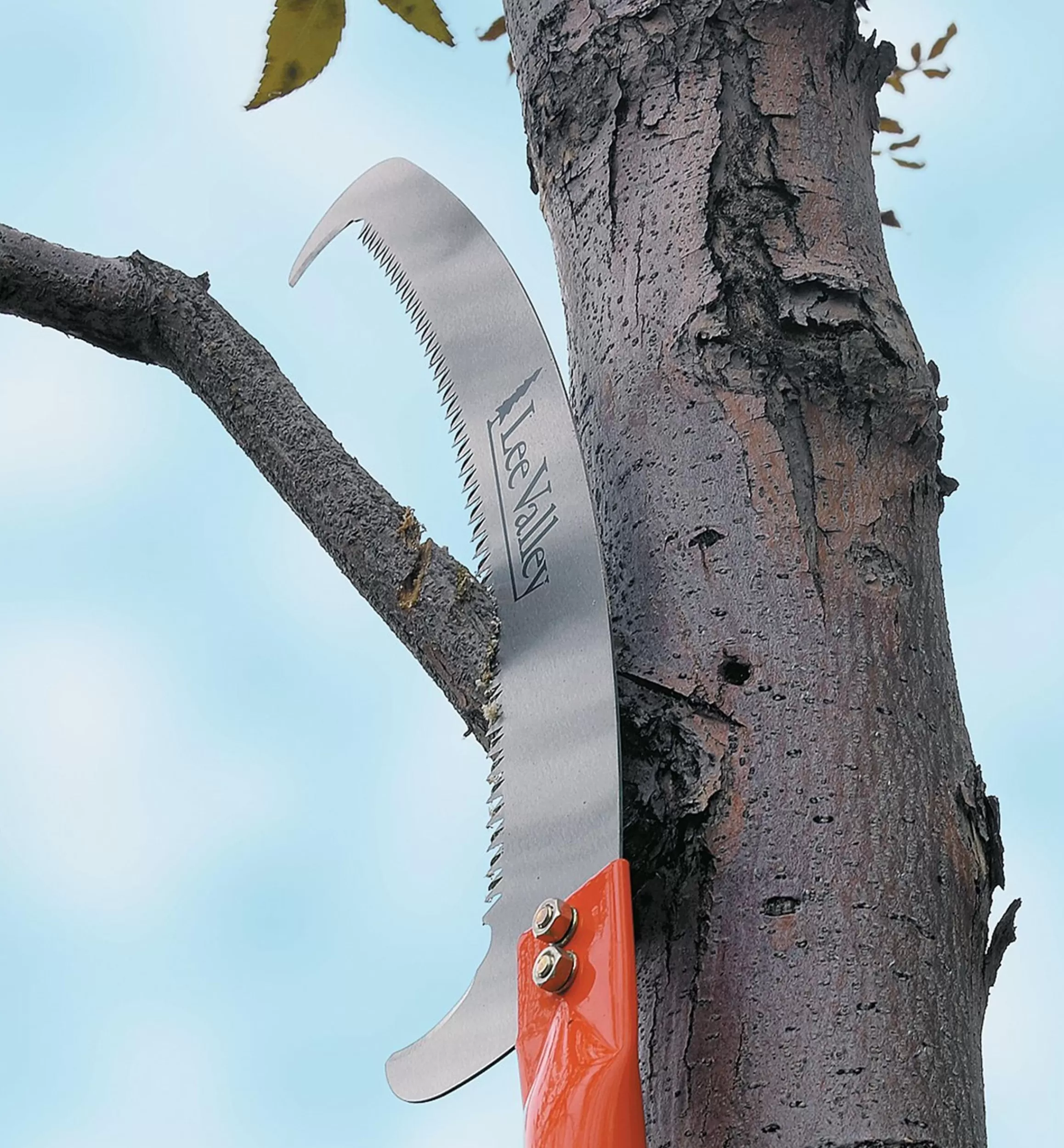 Lee Valley Pole Saw Head