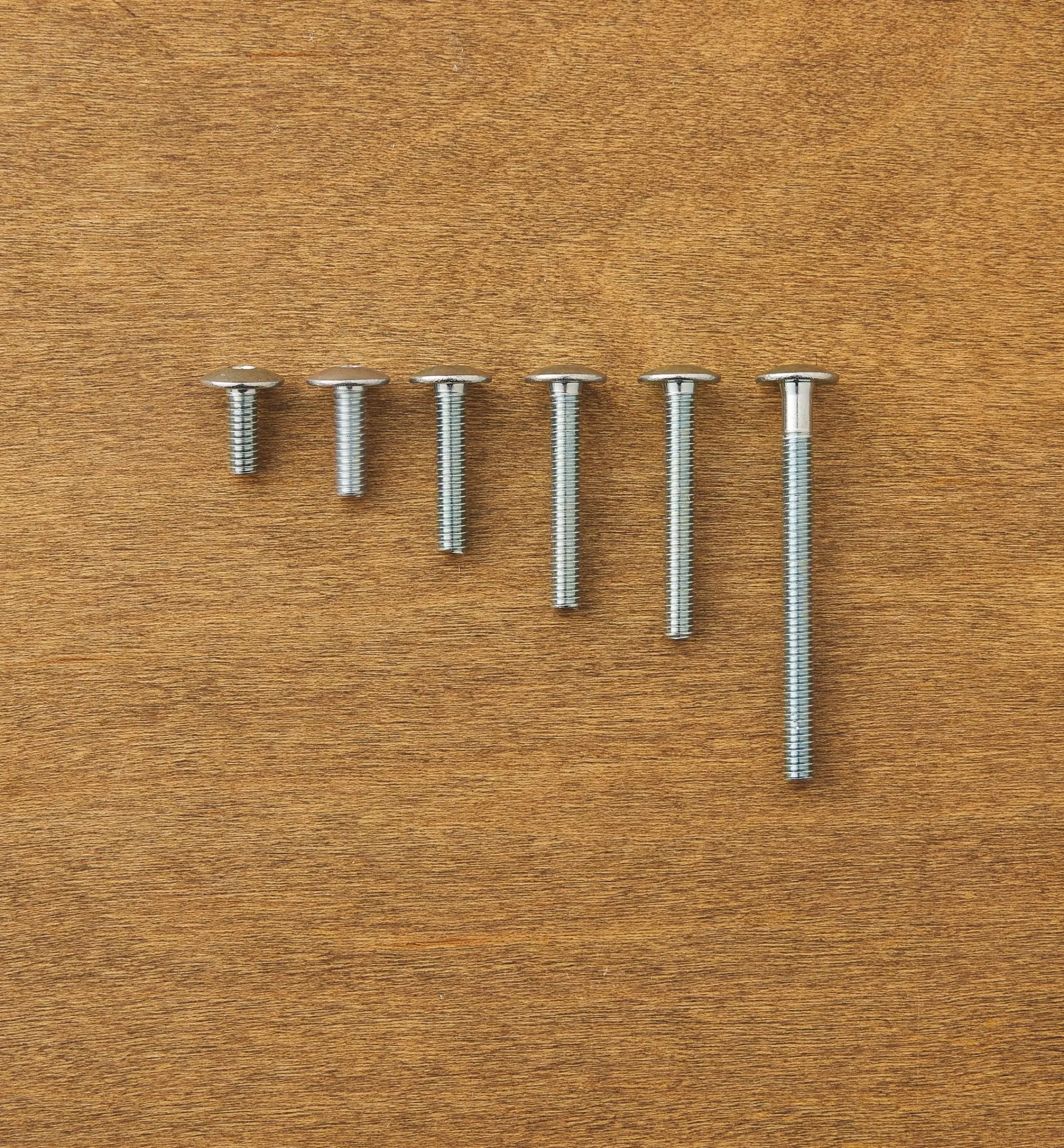 Lee Valley Rampa 1/4-20 Mushroom-Head Bolts