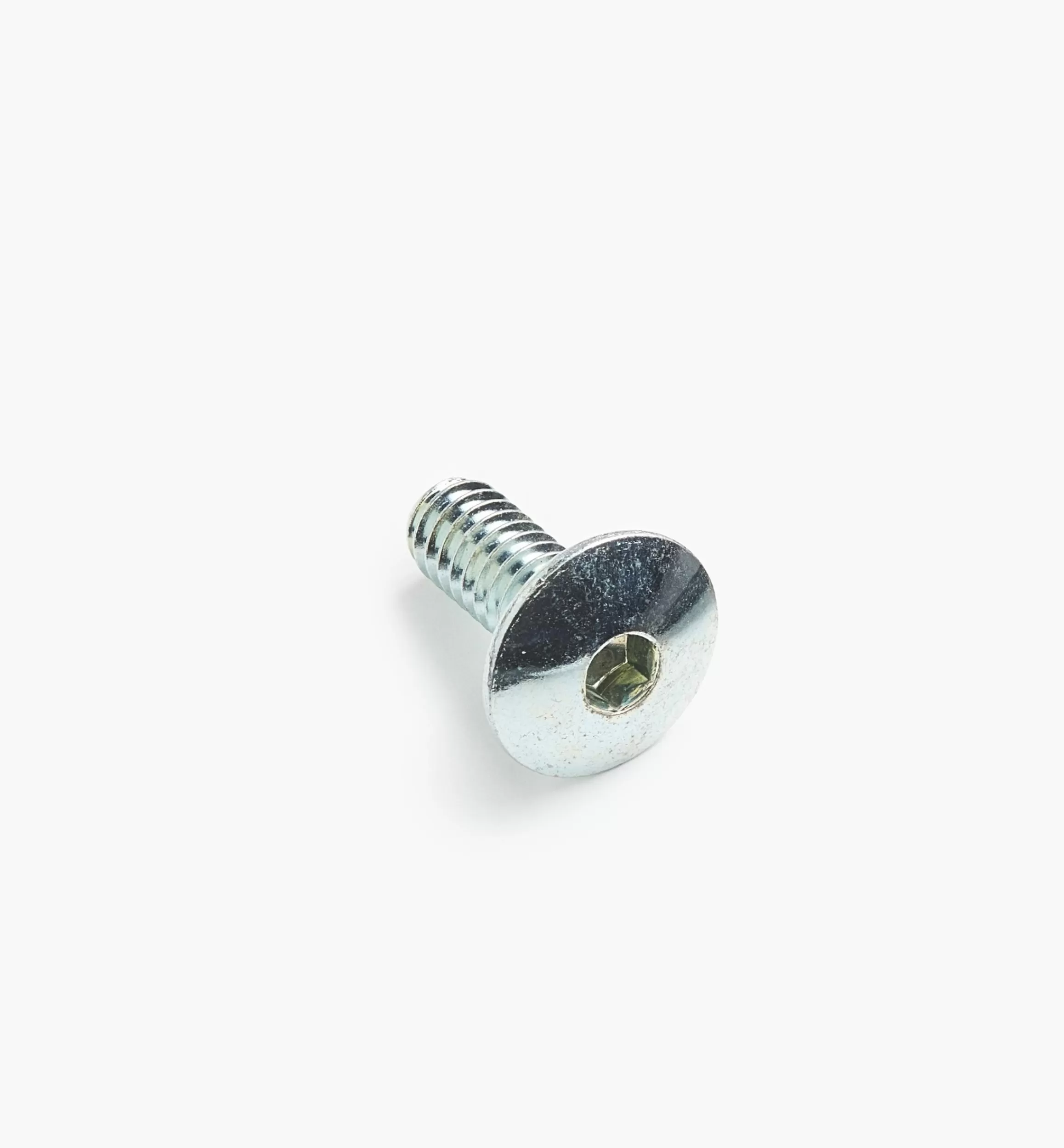 Lee Valley Rampa 1/4-20 Mushroom-Head Bolts