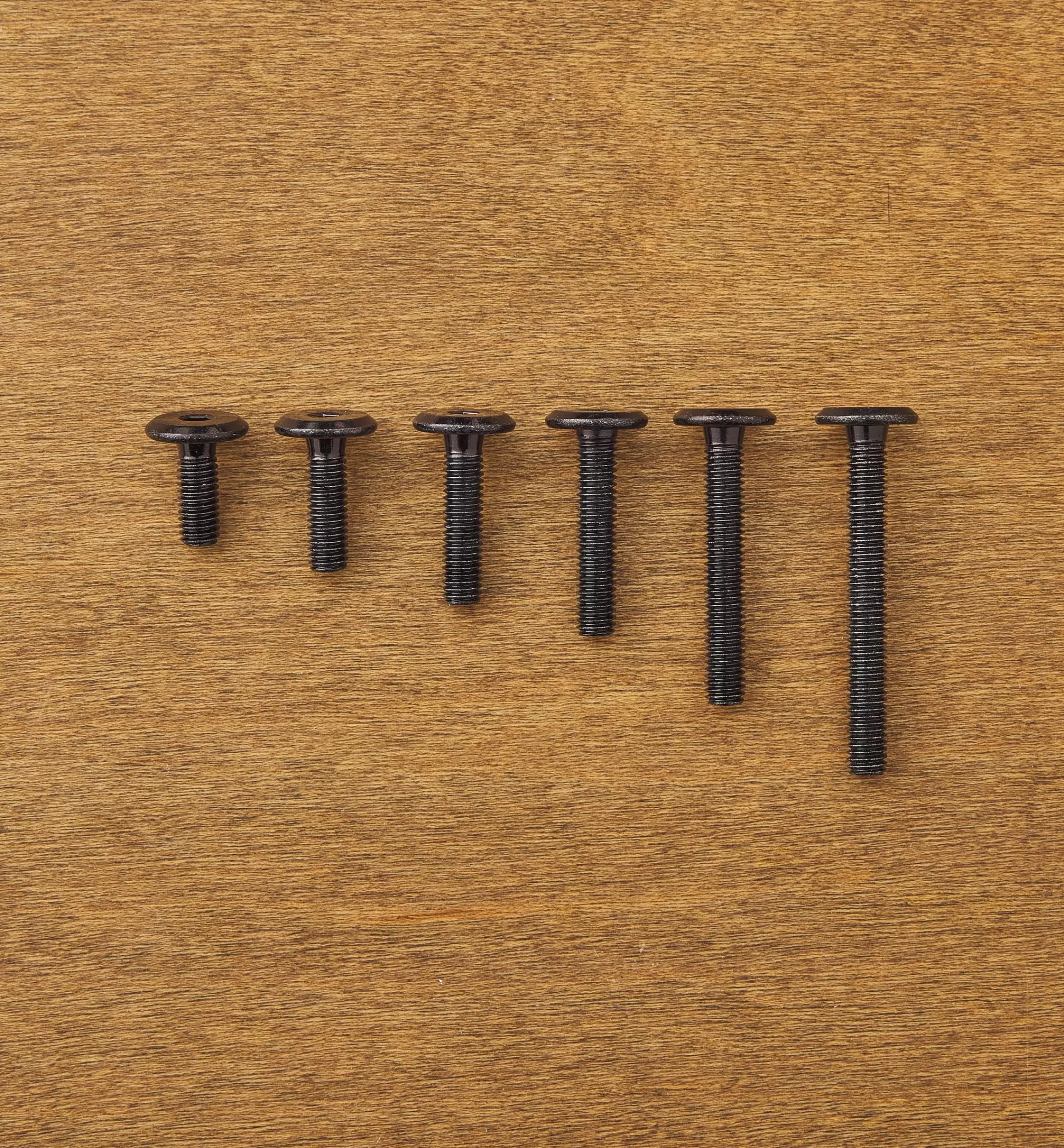 Lee Valley Rampa Black M6 Flat-Head Bolts