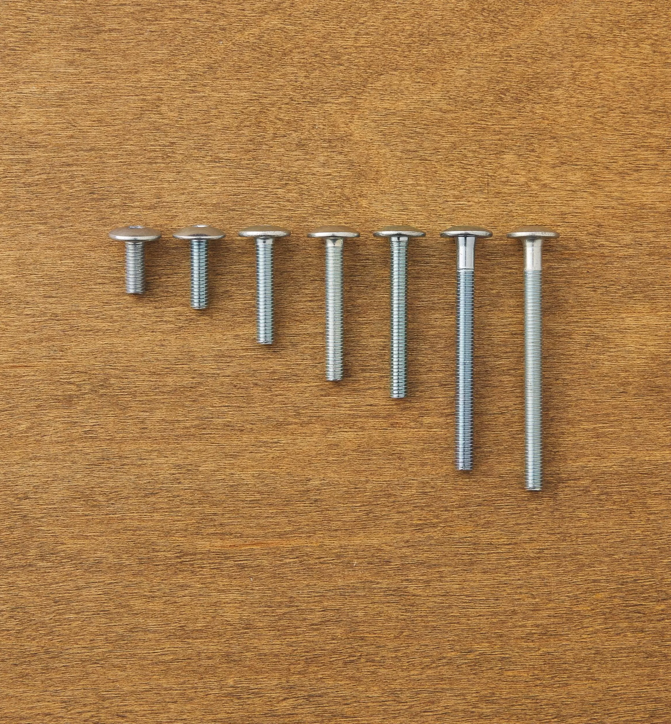 Lee Valley Rampa M6 Mushroom-Head Bolts