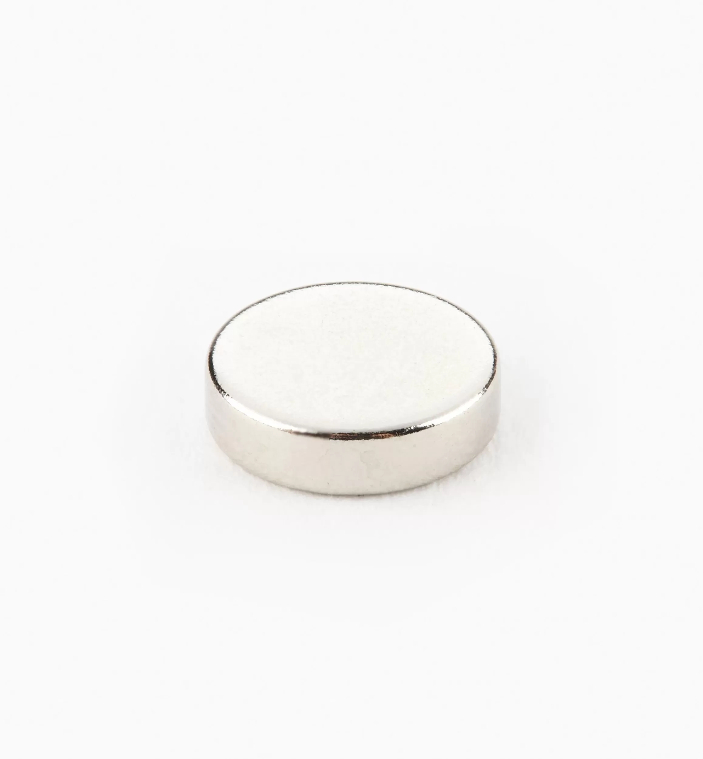 Lee Valley Rare-Earth Circular Magnets