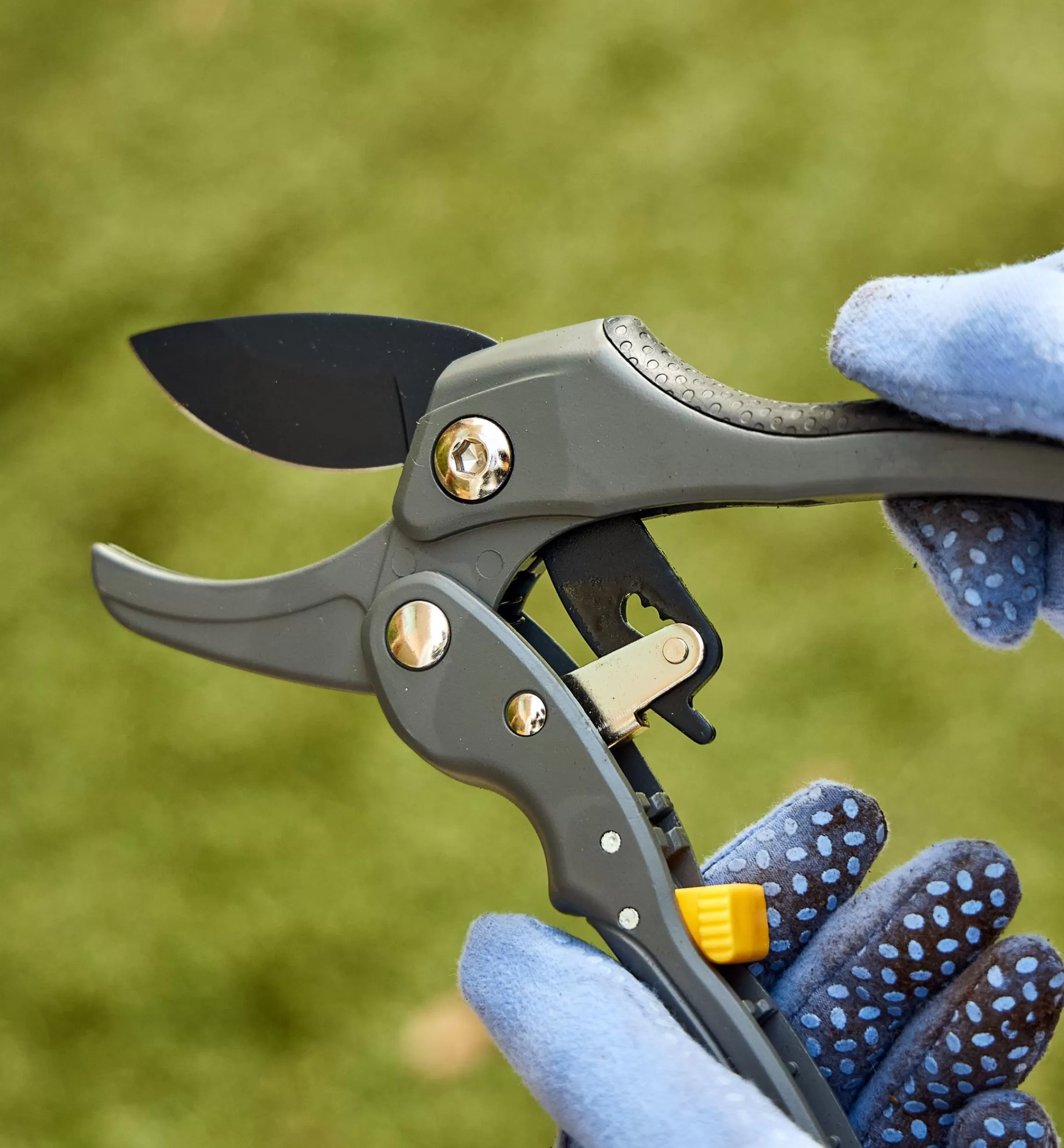 Lee Valley Ratcheting Hand Pruner