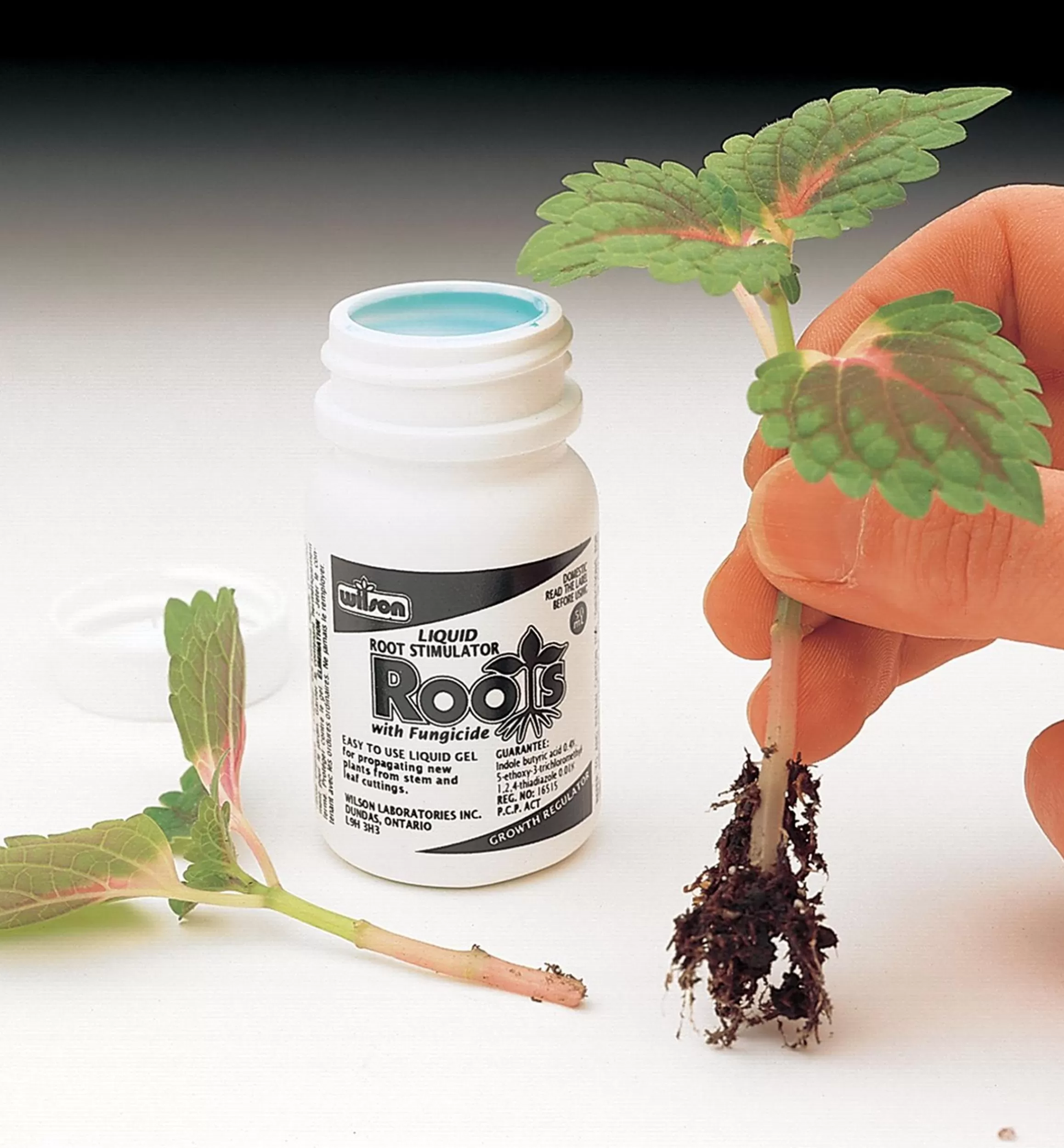 Lee Valley Root Stimulator