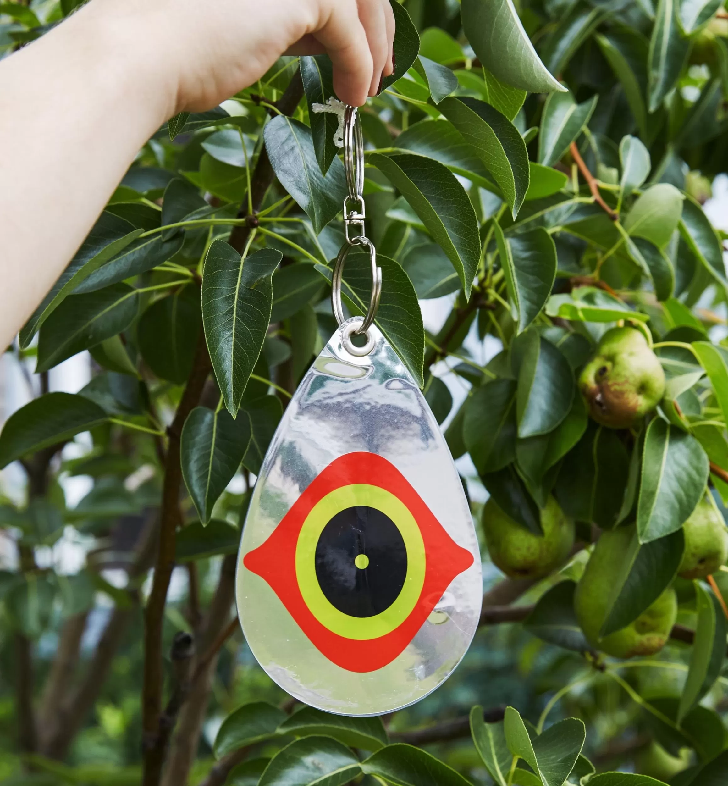 Lee Valley Scare Eye Bird Deterrents