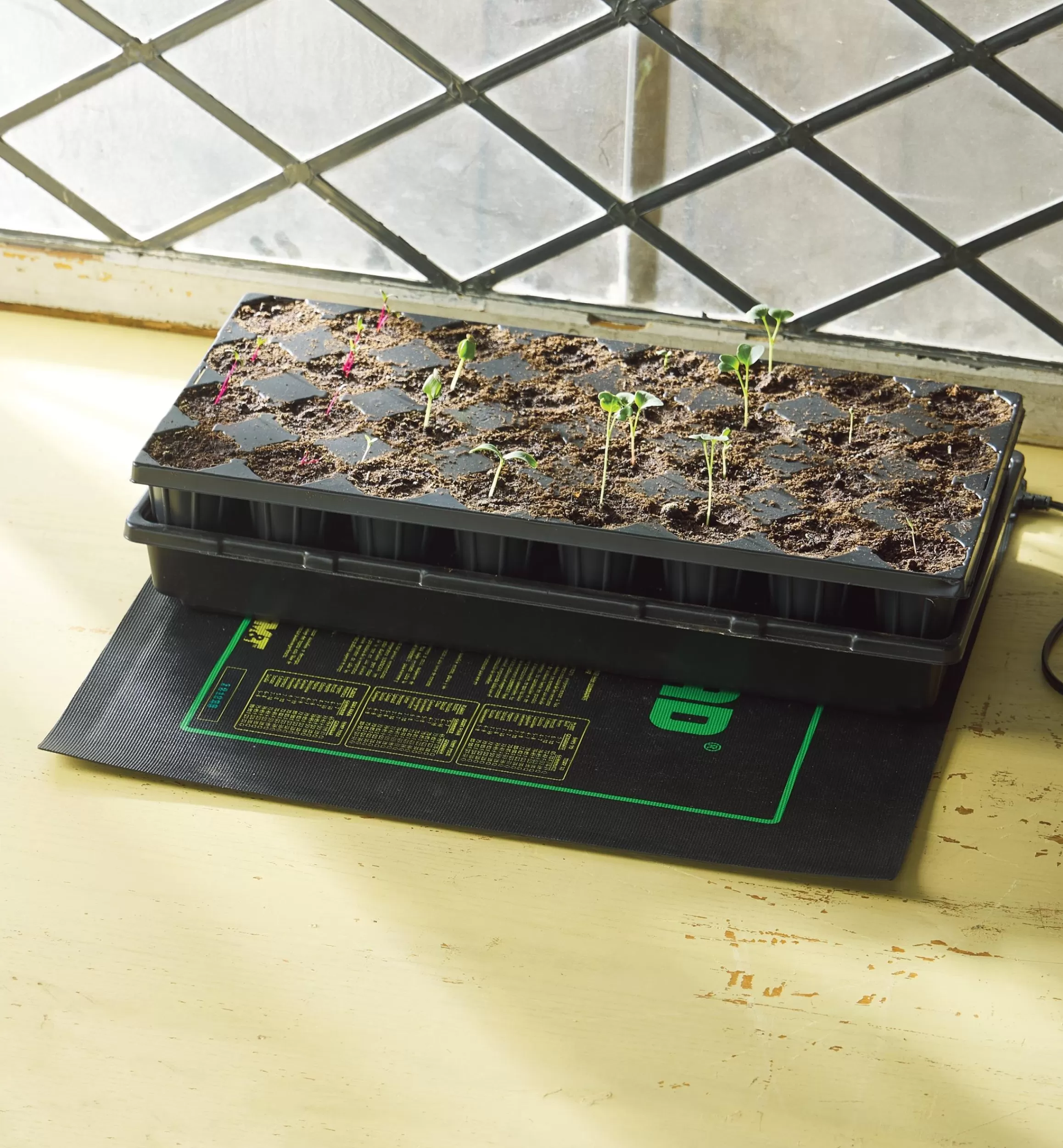 Lee Valley Seedling Heat Mats