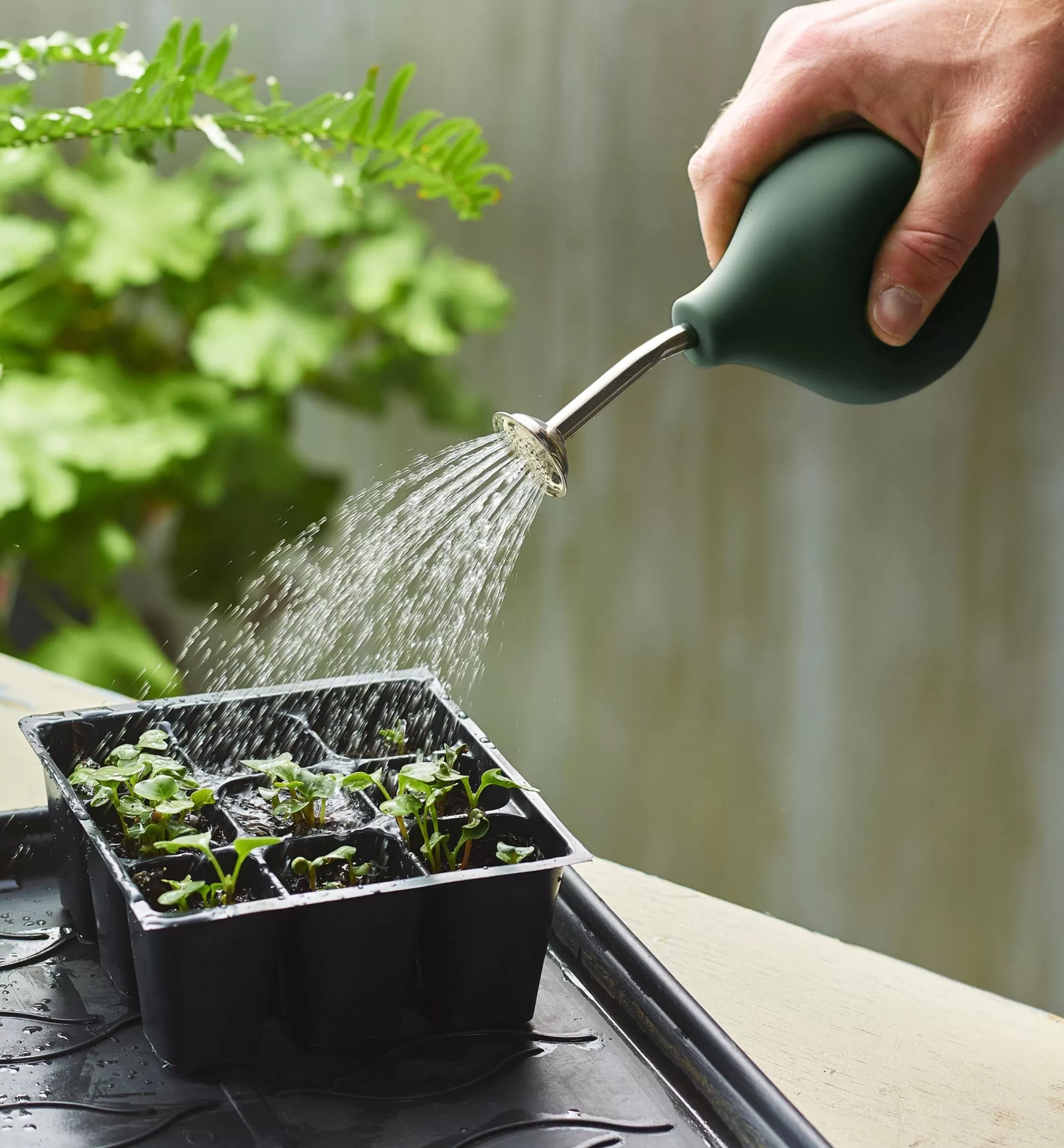 Lee Valley Seedling Sprayer