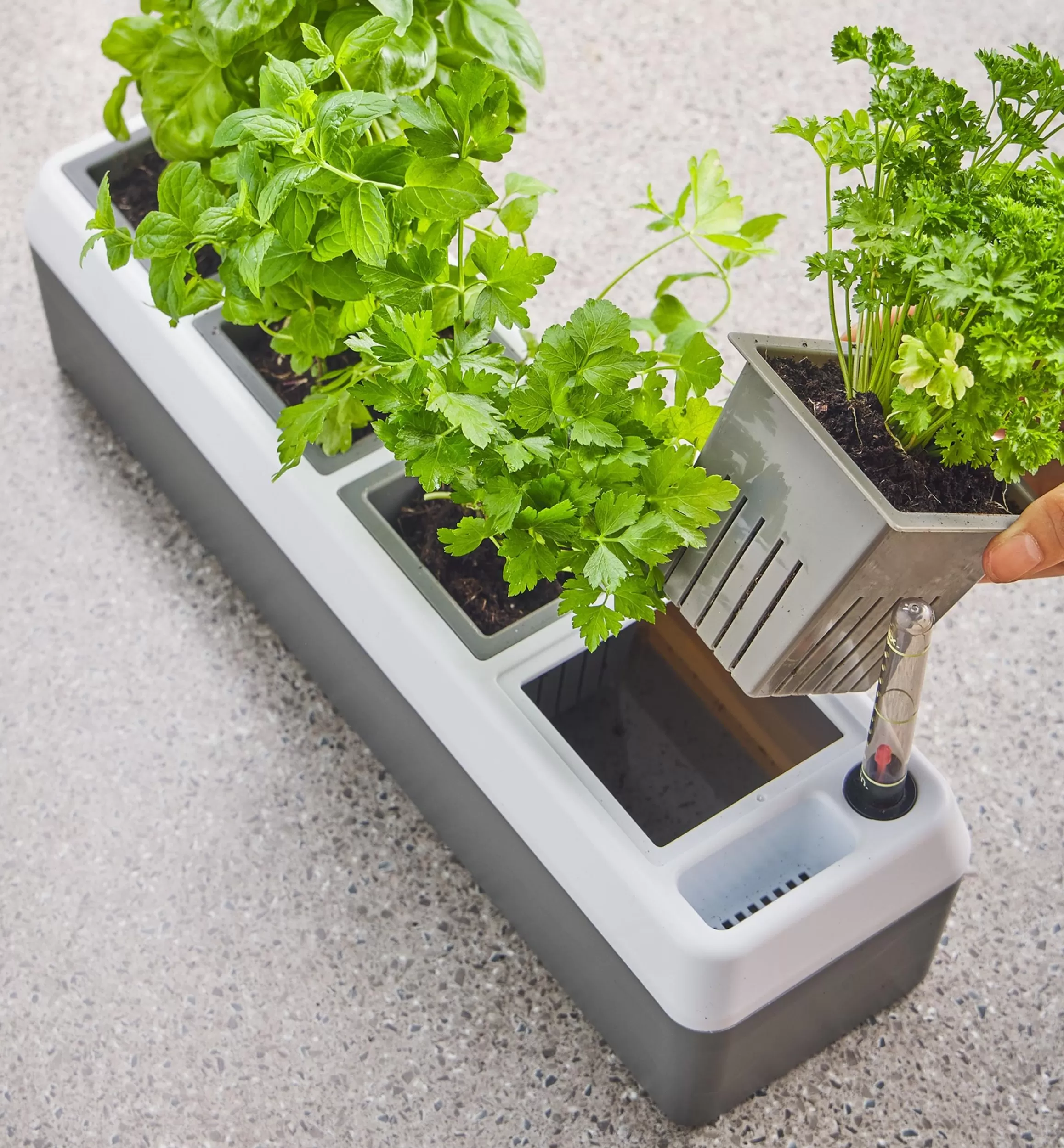 Lee Valley Self-Watering Windowsill Planter
