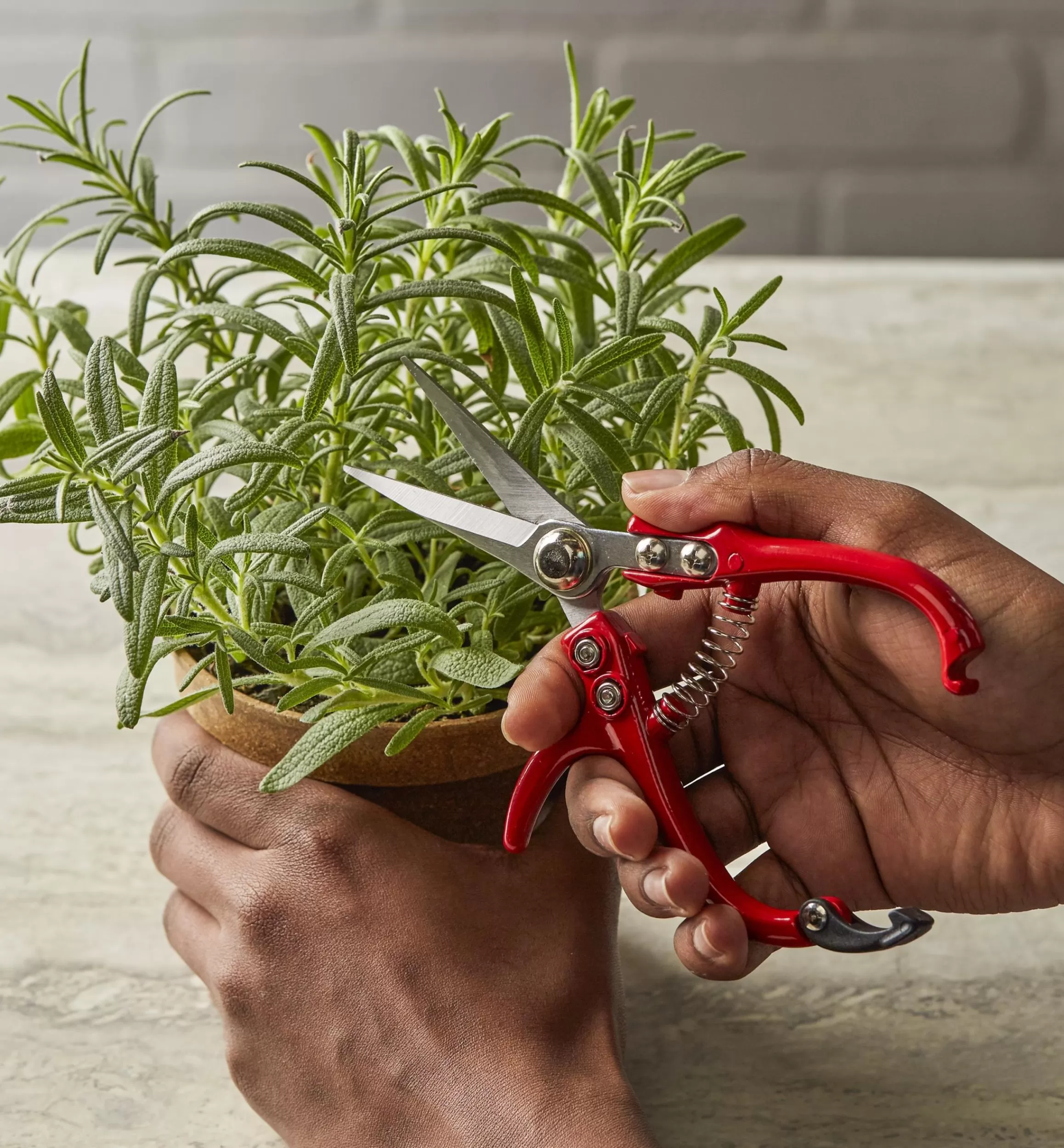 Lee Valley Set Of 2 Mini Garden Shears