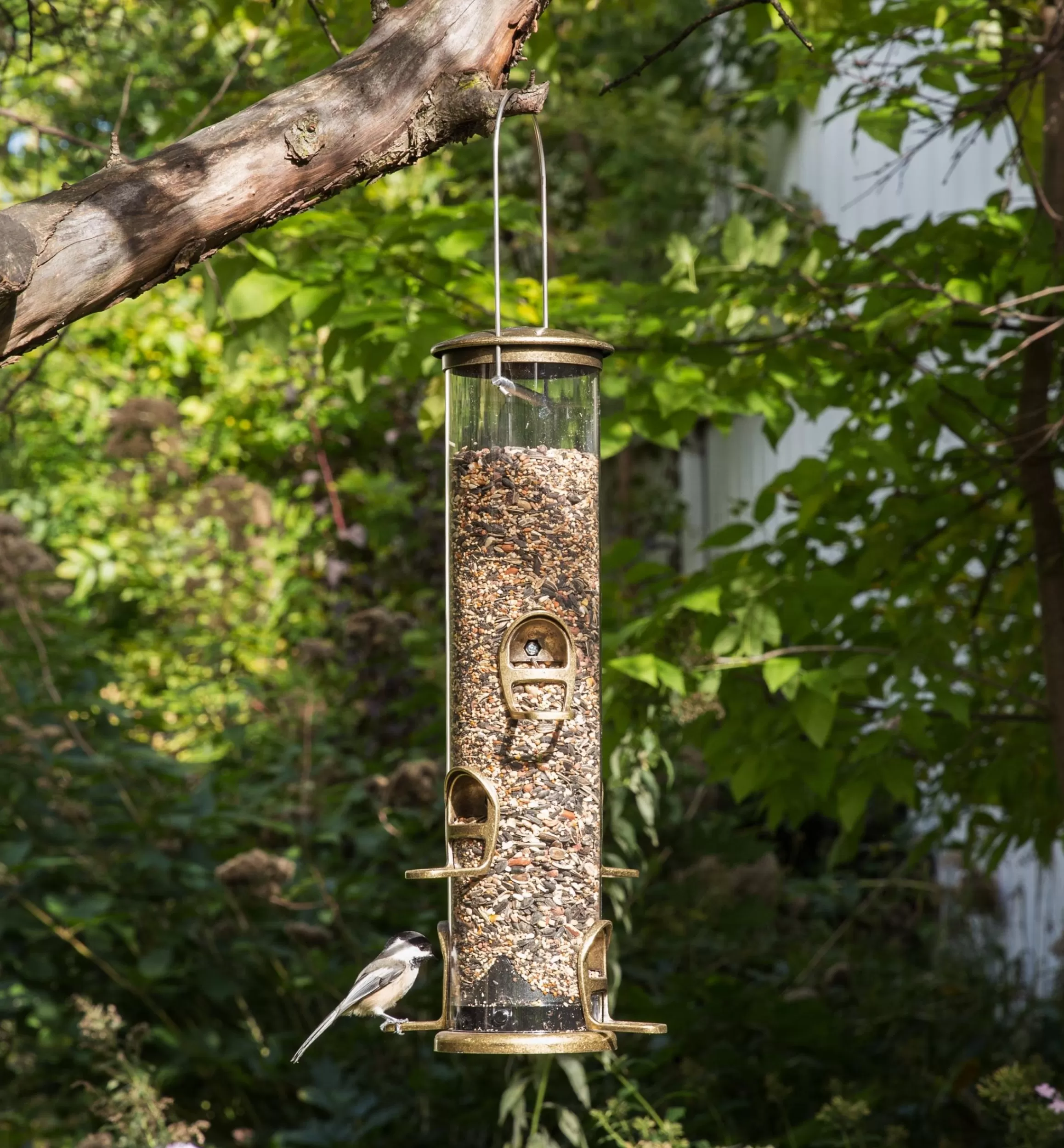 Lee Valley Songbird Quick-Clean Tube Feeders