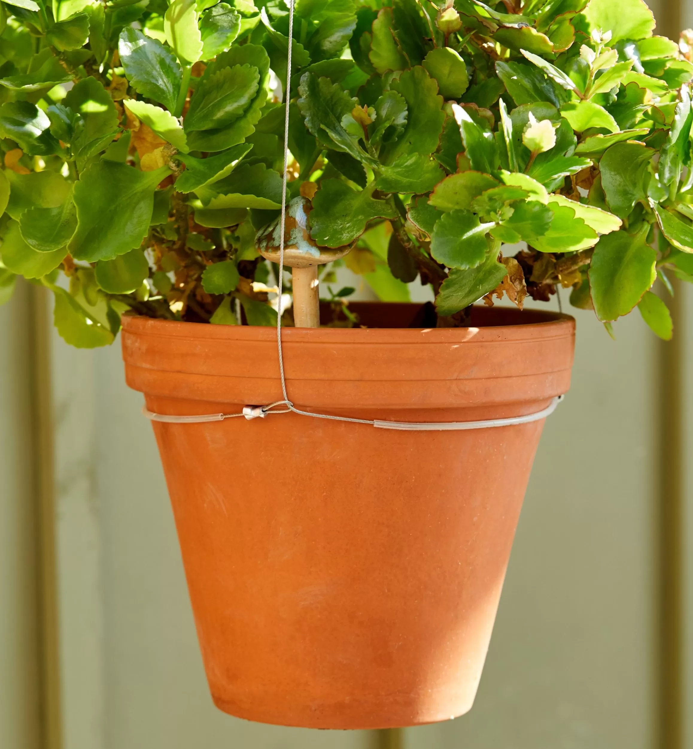 Lee Valley Stainless-Steel Adjustable Pot Hanger
