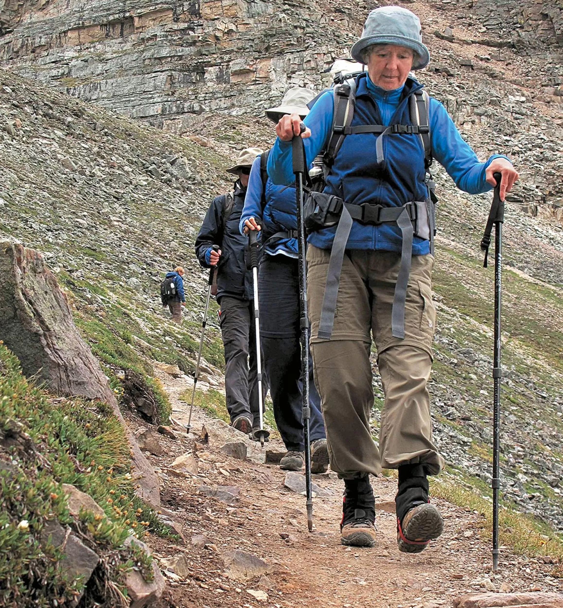Lee Valley Telescoping Hiking Stick