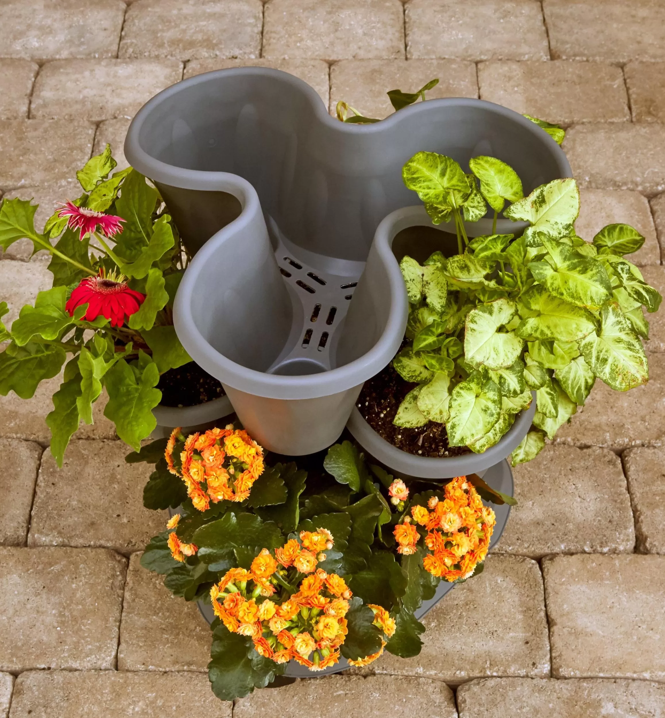 Lee Valley Triple Planter