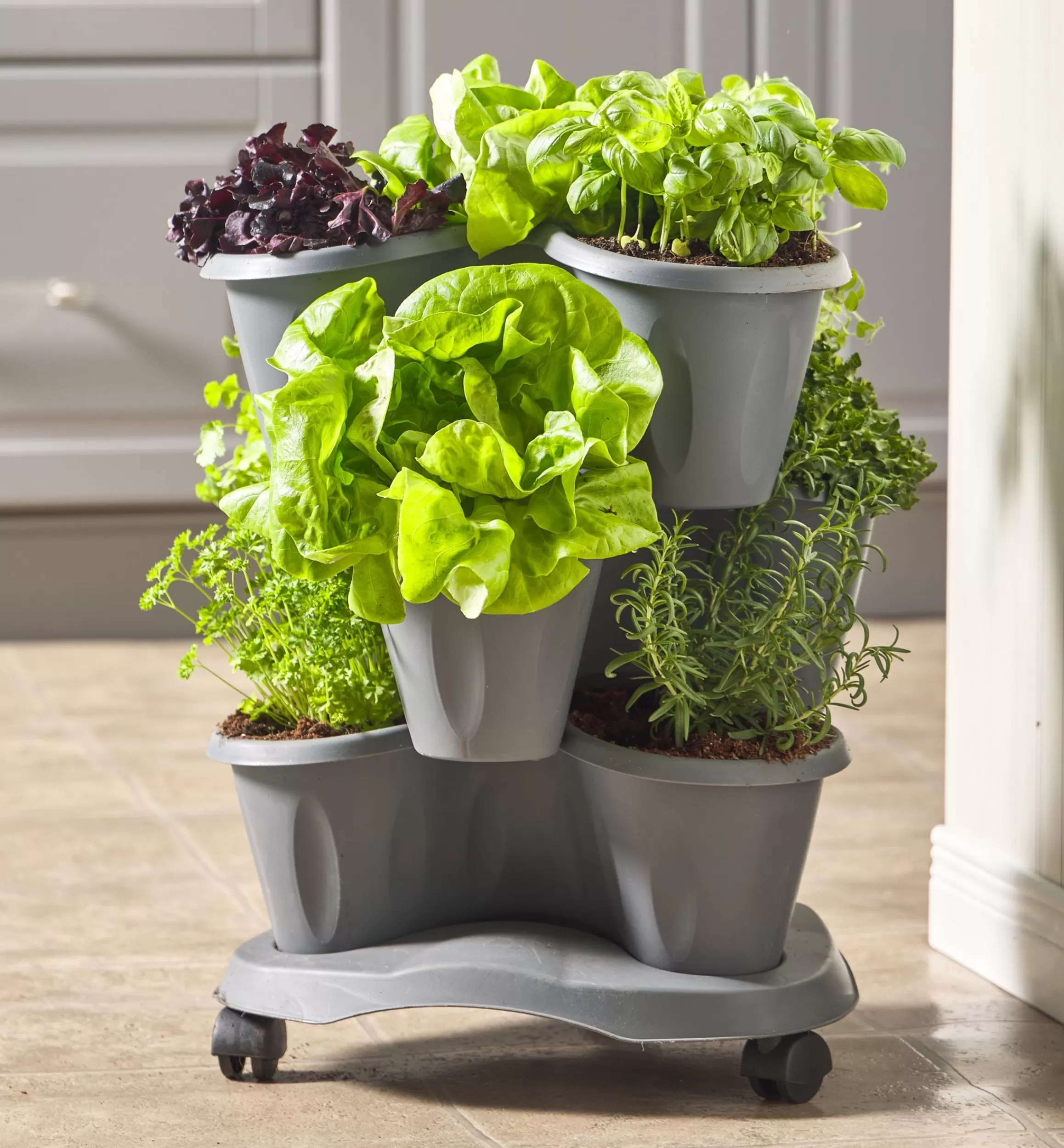 Lee Valley Triple Planter