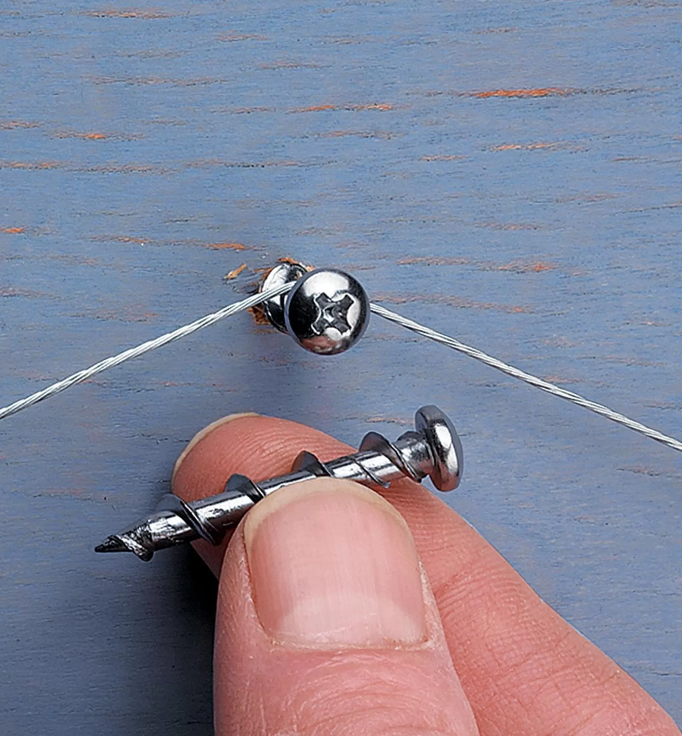 Lee Valley Wall Dog Screws