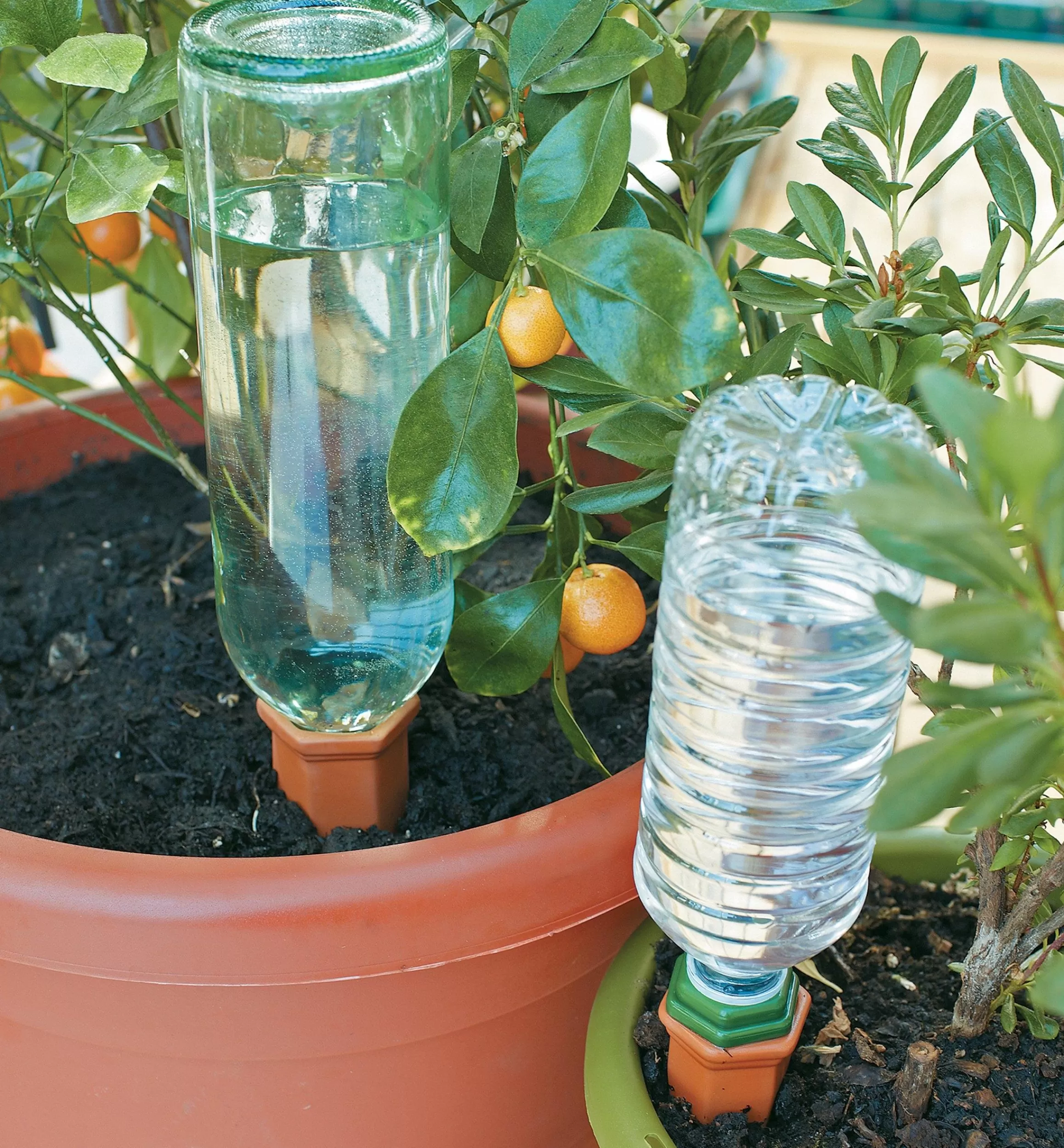 Lee Valley Watering Spikes